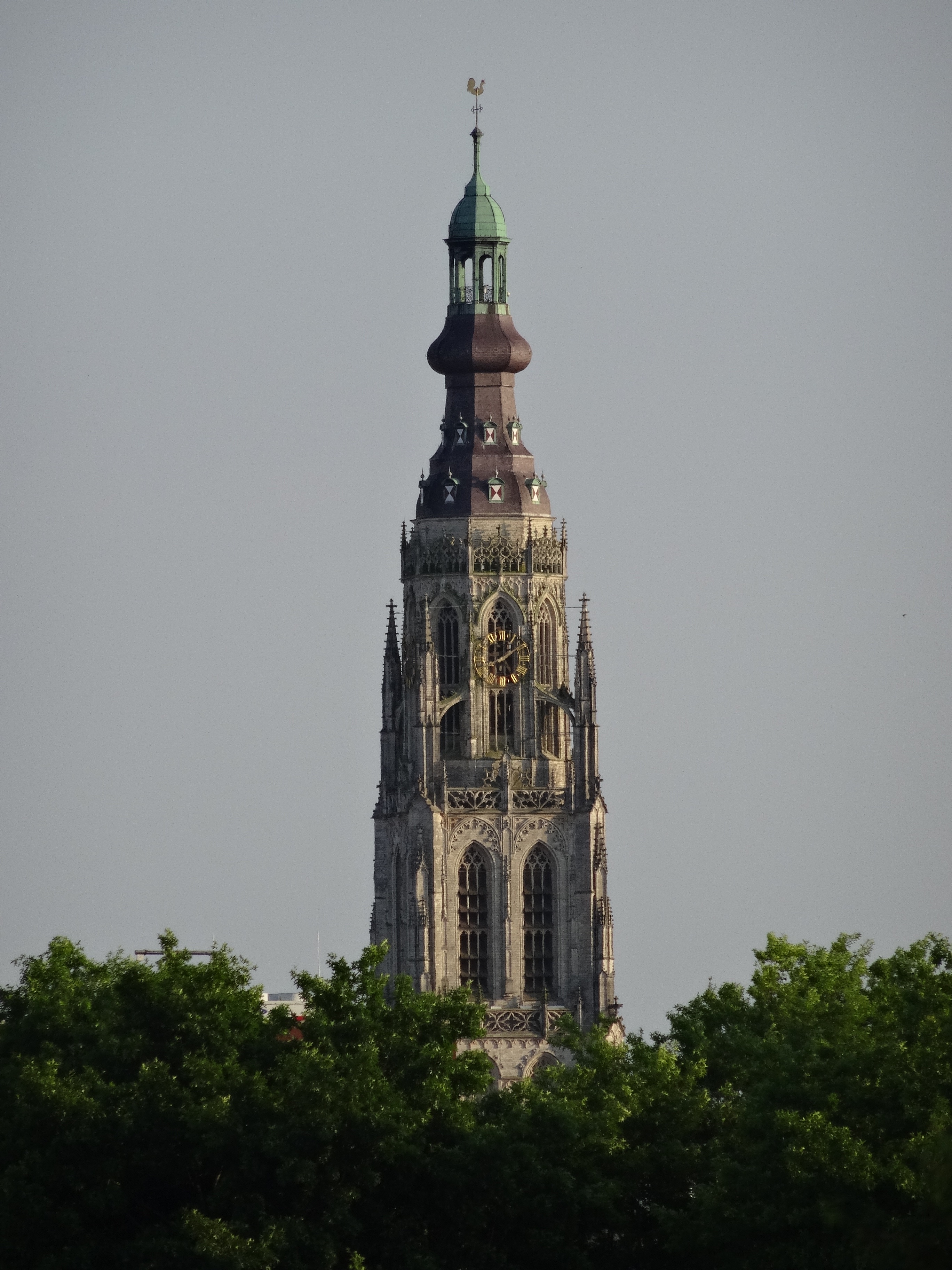 plant, tower, tree, famous, sky, spire, clear sky, landmark, low angle view, belief, copy space, tourism, no people, building exterior, religion, church, Phone HD Wallpaper