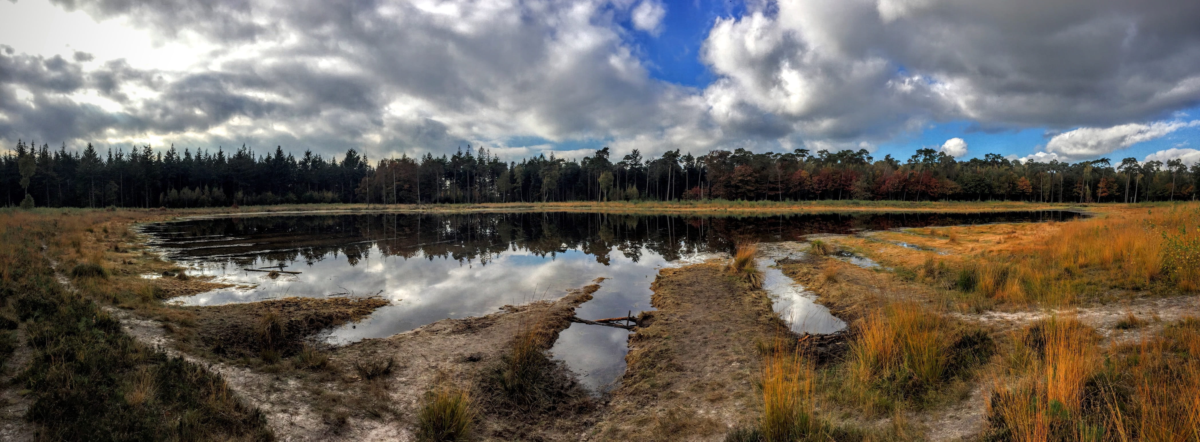 land, non-Urban Scene, nature, sky, river, cloudscape, panoramic, lake, Forest, blue, Breda, day, beauty In Nature, water, scenics, 4K, swamp, tranquil Scene, HD Wallpaper