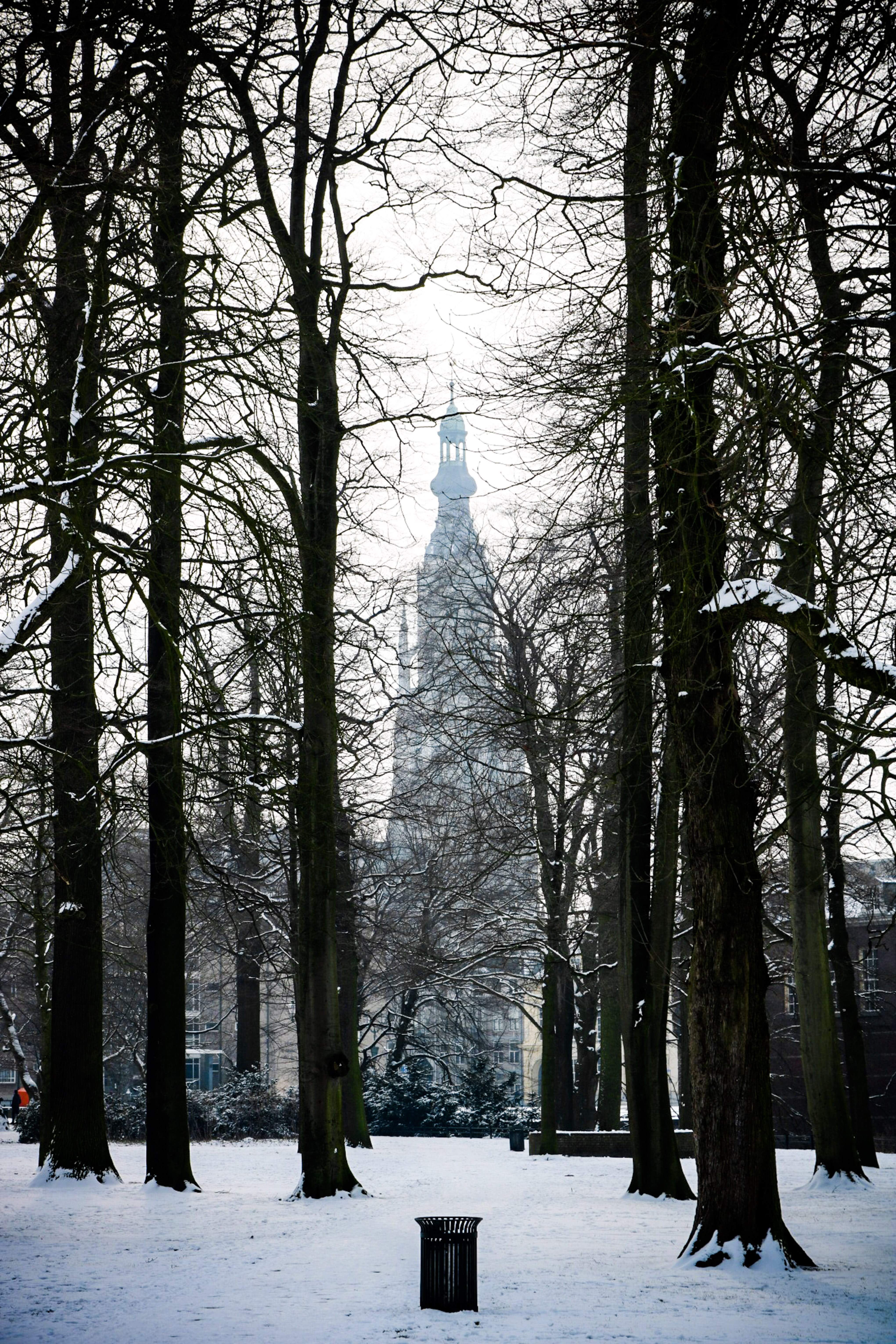 cold, architecture, nature, canon, tranquility, no people, white, bare tree, church, outdoors, cloudy, breda, misty, dream, old, snow, snowing, building exterior, Phone HD Wallpaper