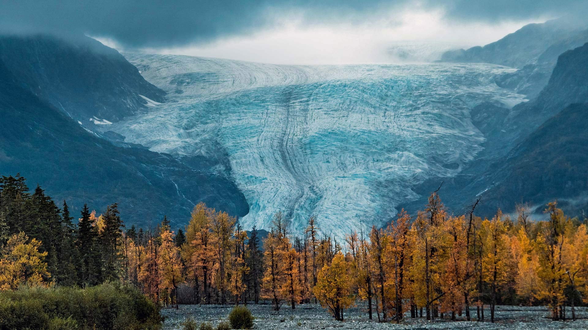 National Park Kenai fjords, Alaska, 1080P, USA, glacier, HD Wallpaper