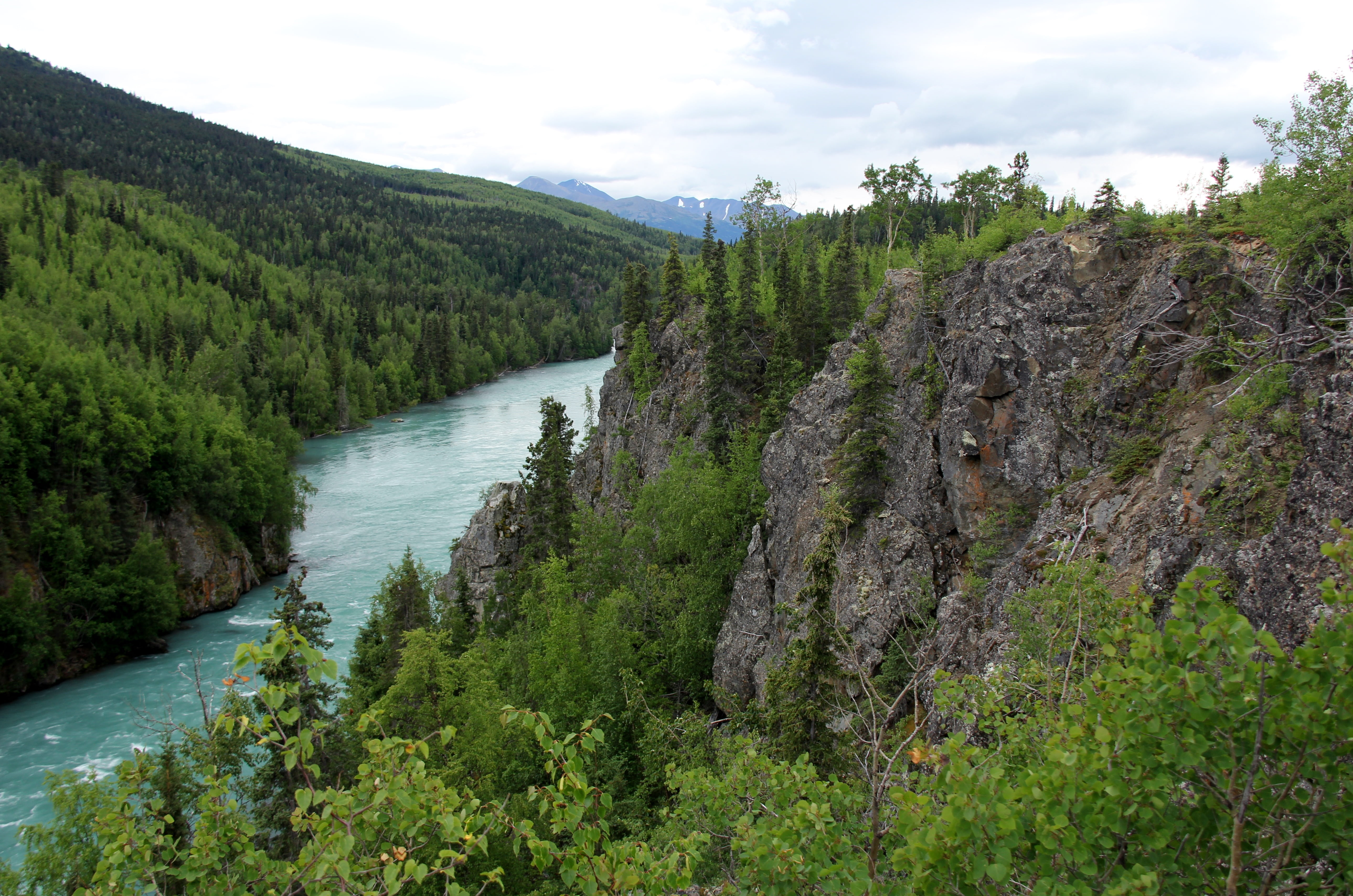 green color, non-urban scene, kenai, alaska, water, 5K, mountain, landscape, rock, woodland, tranquility, forest, tranquil scene, wilderness, river, pine tree, HD Wallpaper