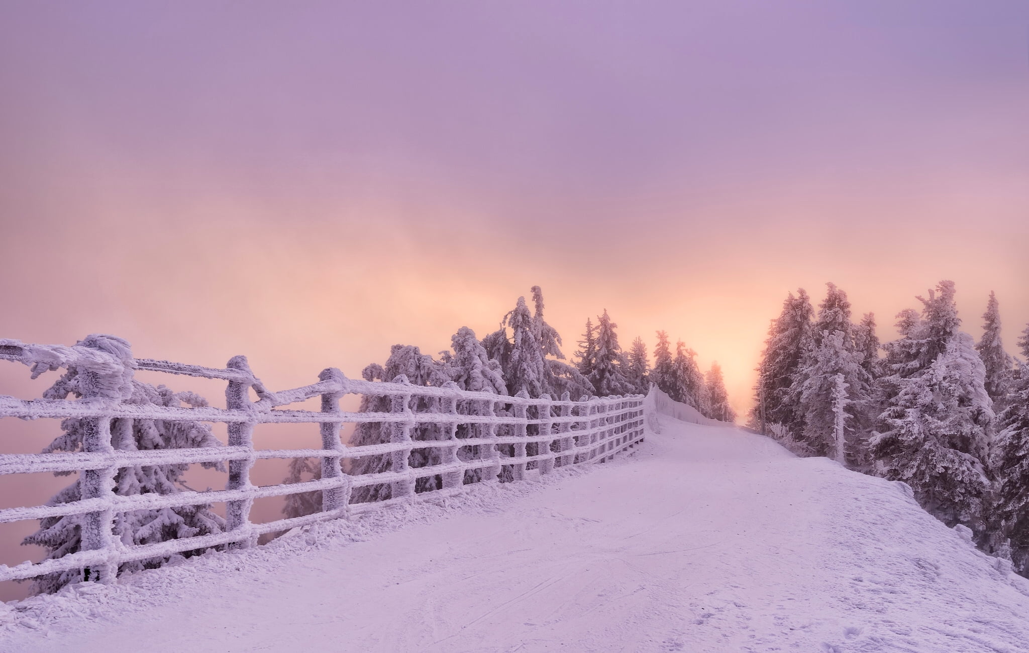 land, snow, tranquility, Romania, trees, Brasov, snowcapped mountain, covering, winter, idyllic, no people, outdoors, nature, white color, frozen, 1080P, HD Wallpaper