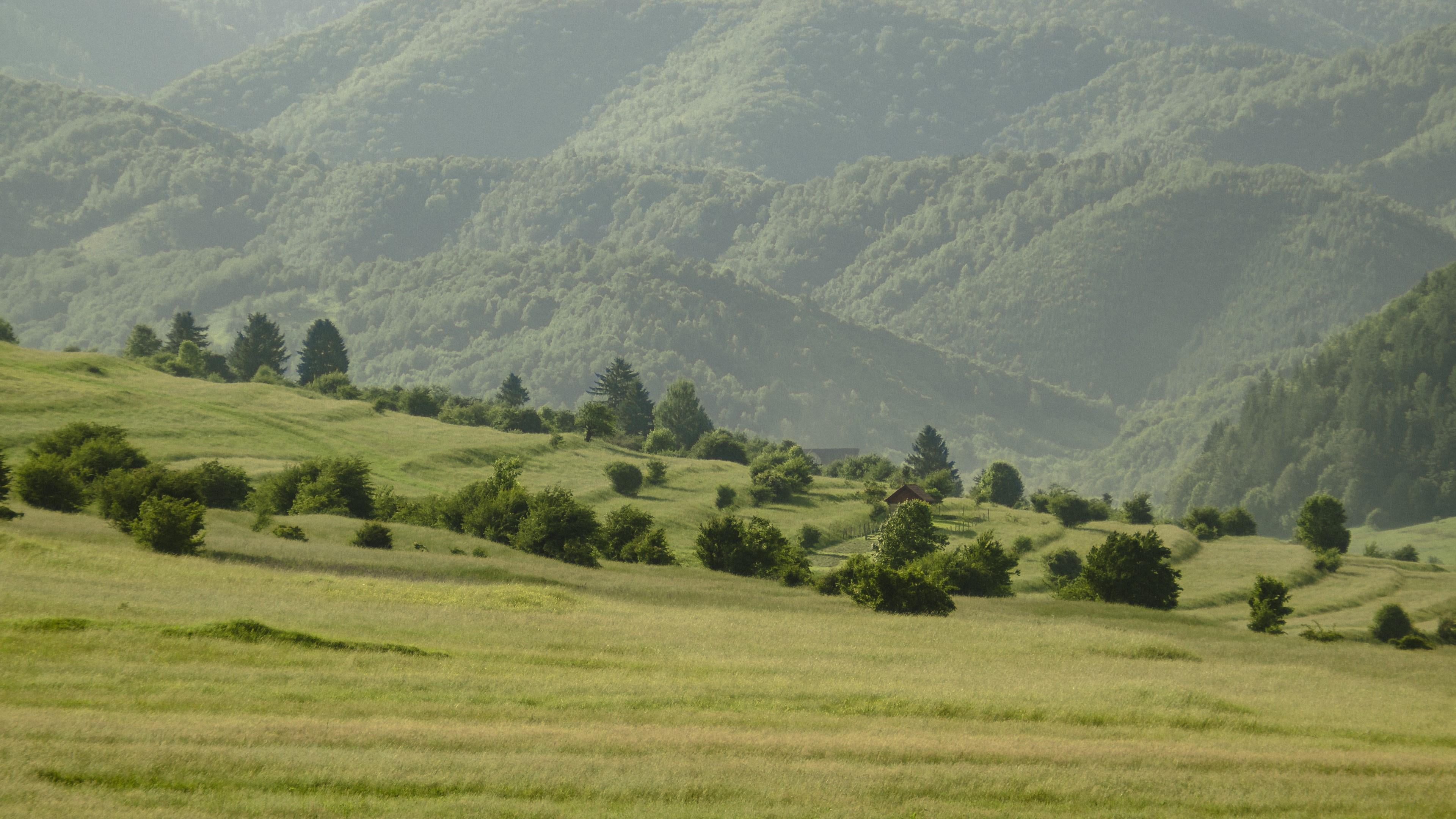 house, nature landscape, tranquility, 4K, the image i need, day, grass, no people, remote, brasov, rural scene, environment, nature, hill, landscape, HD Wallpaper
