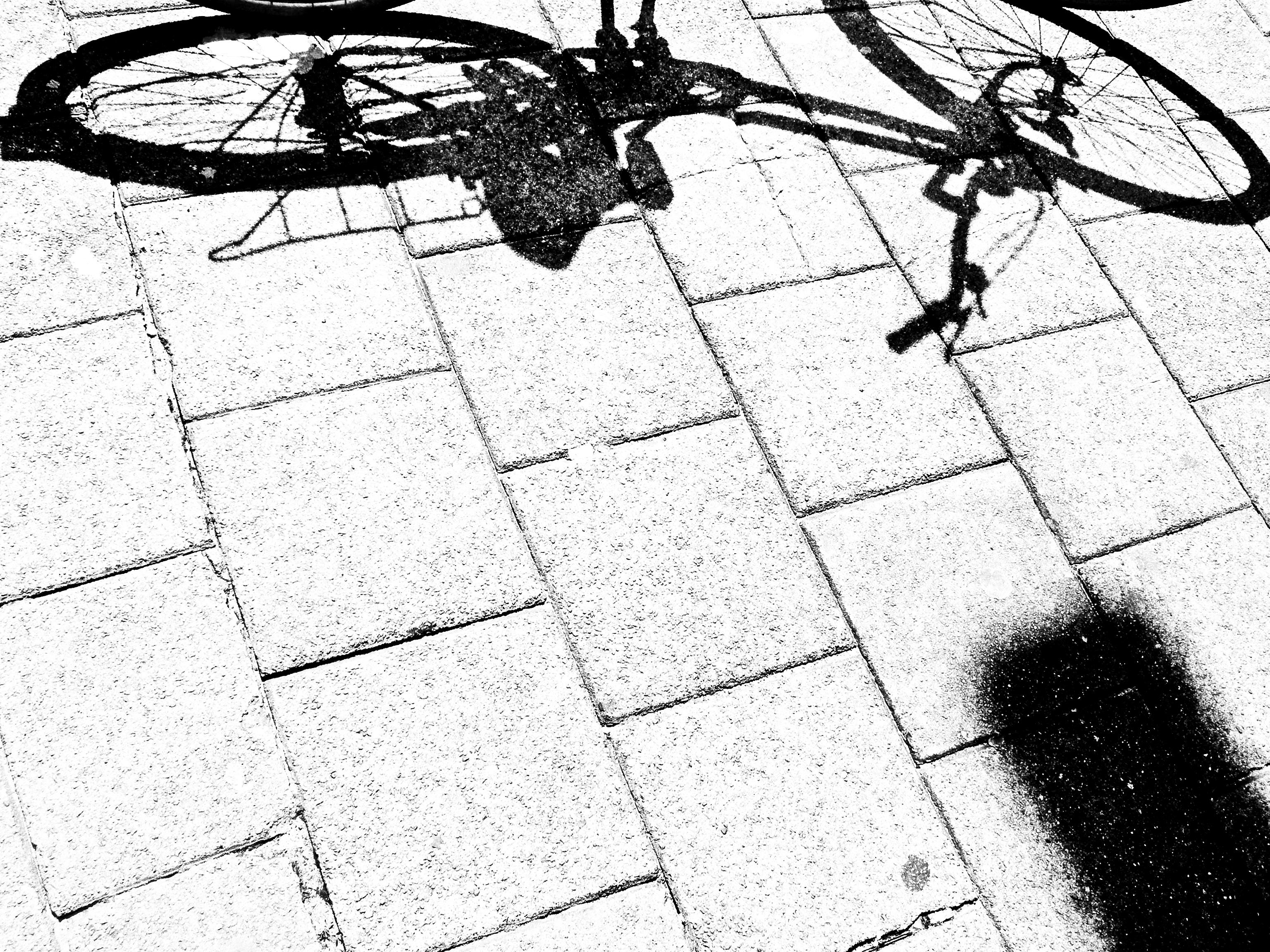 focus on shadow, nature, land vehicle, sunlight, pedal, stone, lifestyle, bike, recreation, leisure, plant, outdoors, speed, high angle view, cyclist, race, HD Wallpaper