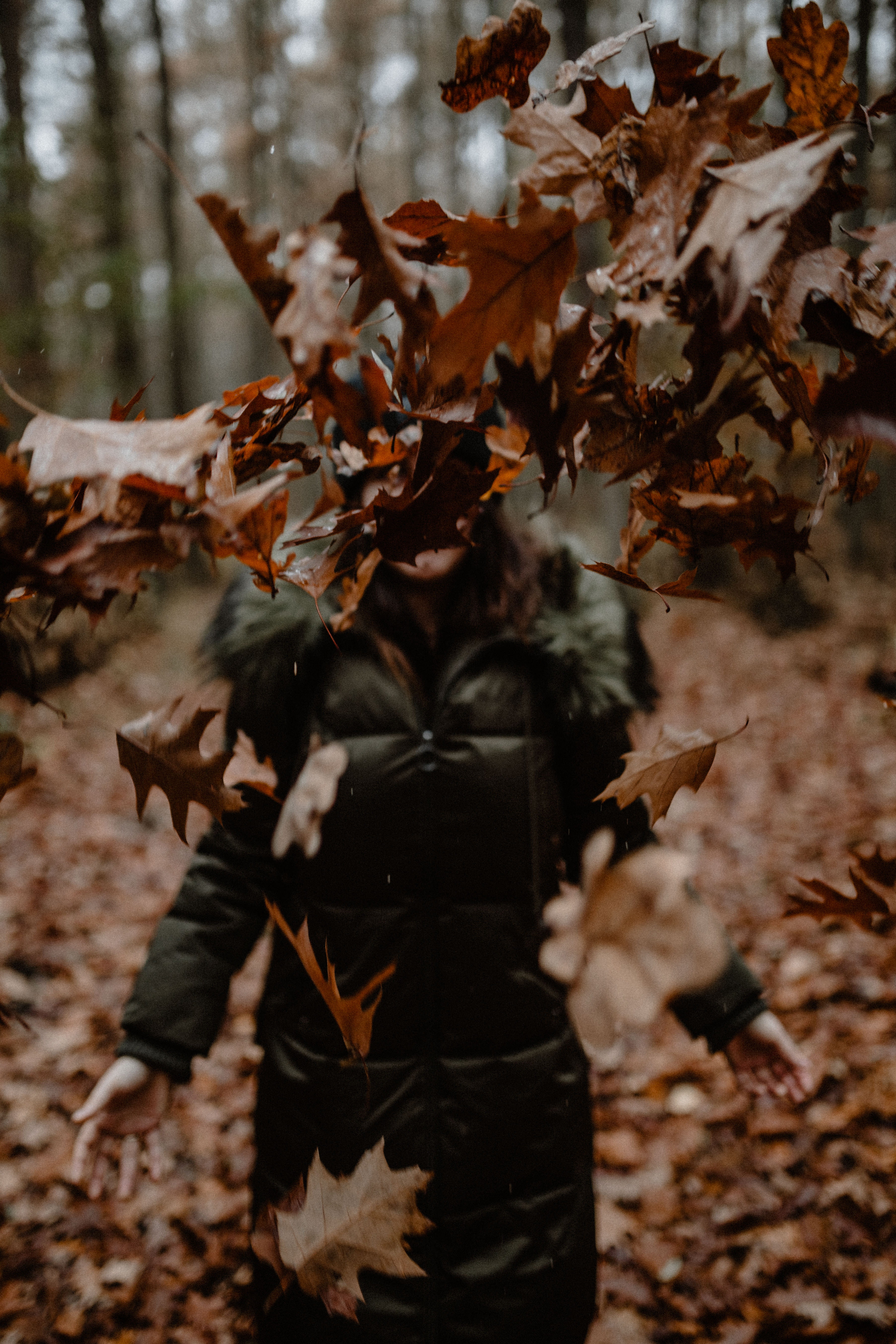 real people, focus on foreground, maple leaf, obscured face, day, dry, leaf, woods, plant, unrecognizable person, foggy, weather, walk, change, land, leisure activity, Phone HD Wallpaper