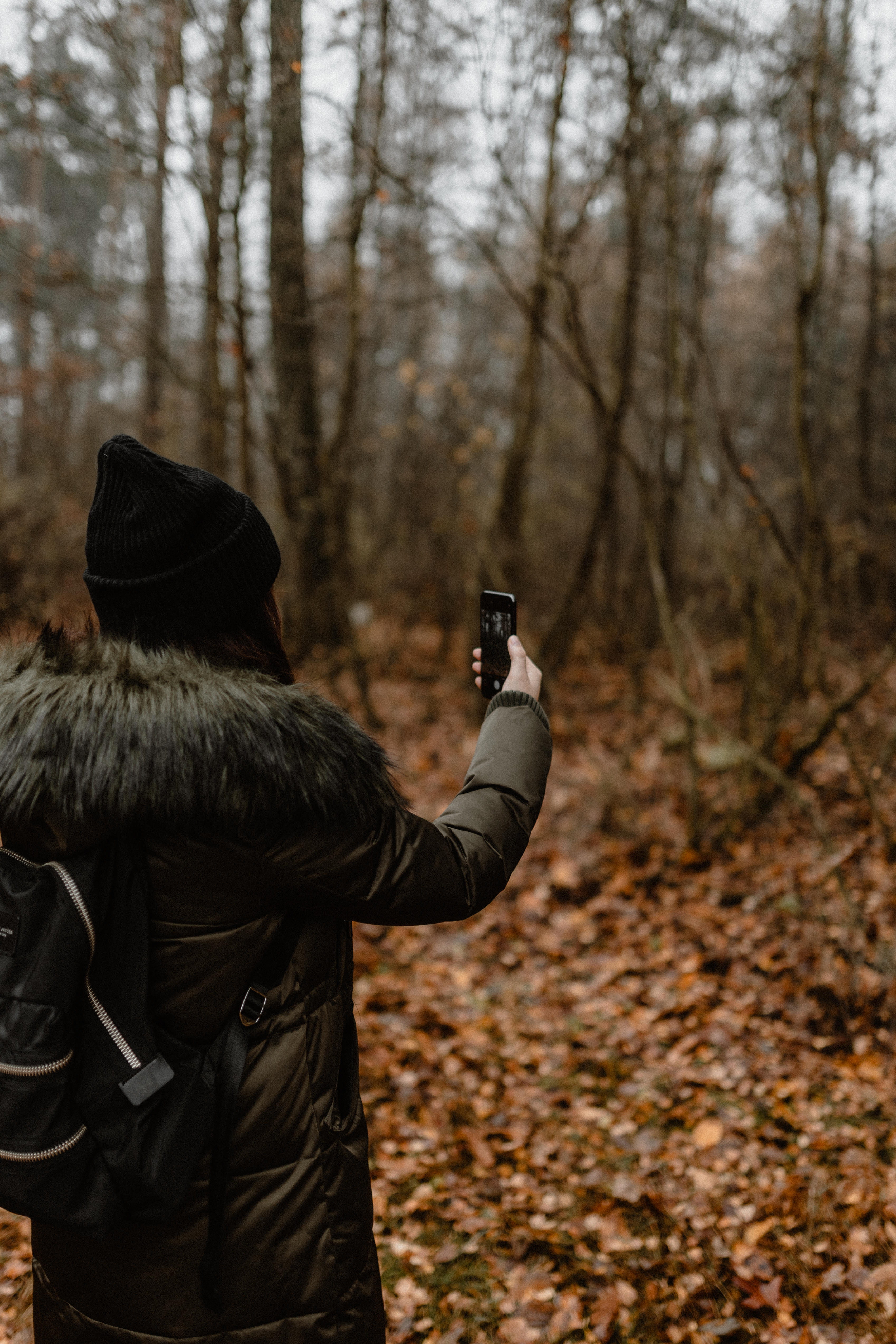 clothing, weather, foggy, autumn, holding, one person, woodland, hood - clothing, leisure activity, wireless technology, fog, lifestyles, fall, communication, Phone HD Wallpaper