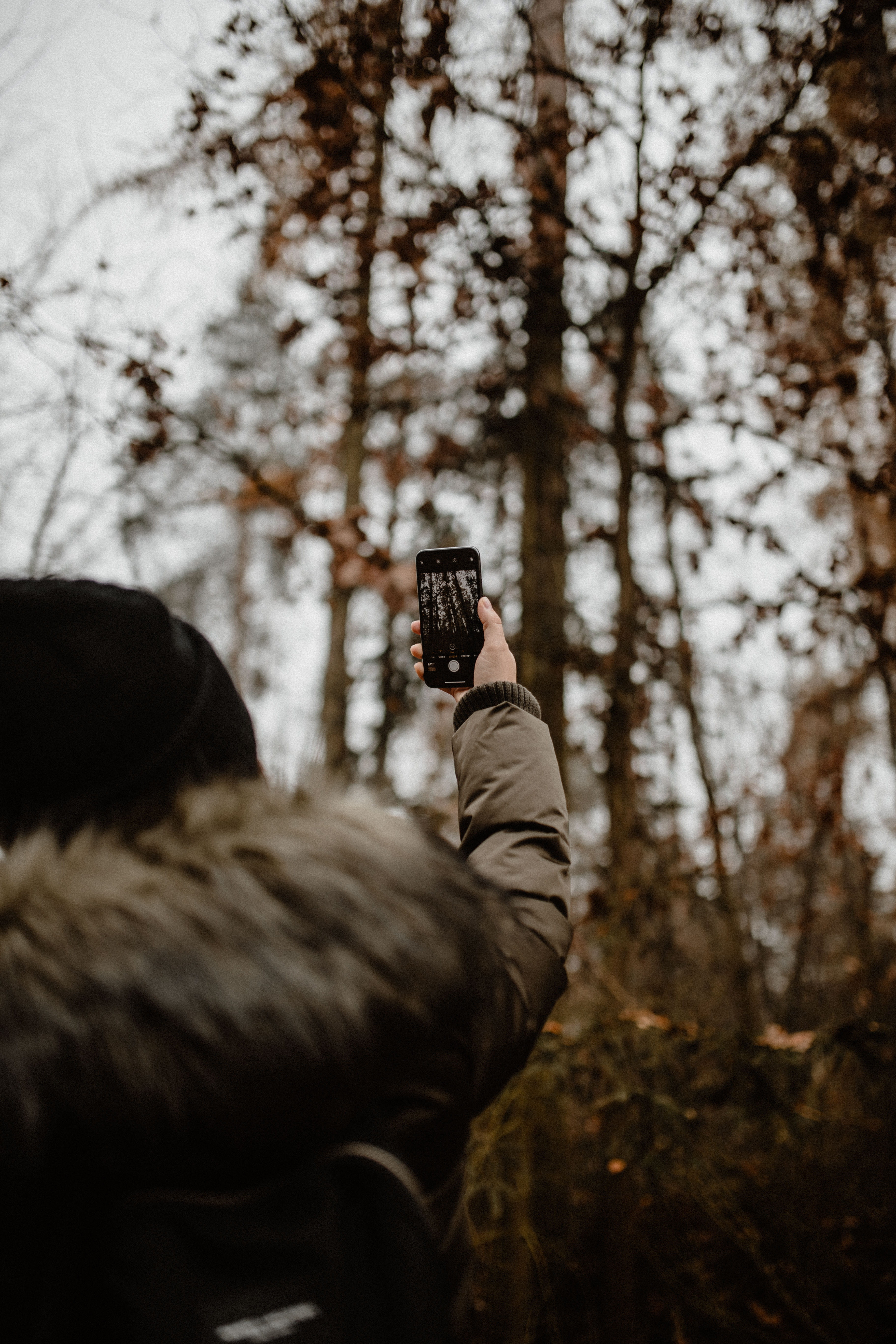 leisure activity, focus on foreground, woods, tree, camera - photographic equipment, fog, real people, foggy, holding, modern, fall, walk, rear view, 5K, Phone HD Wallpaper