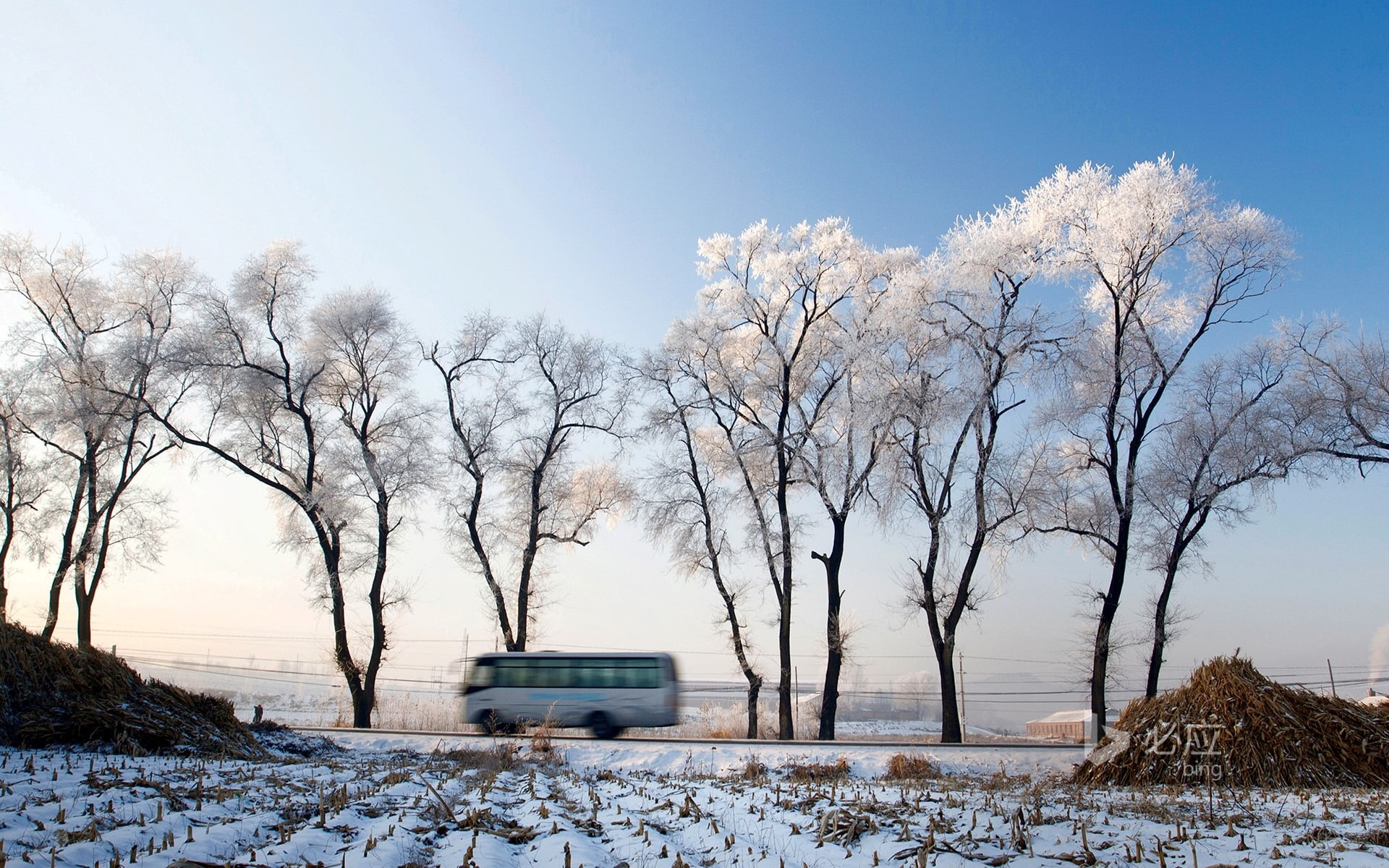 1080P, extreme weather, jilin, snow, bare tree, motor vehicle, plant, cold temperature, tree, no people, day, winter, rime, branch, frozen, outdoors, highway, HD Wallpaper