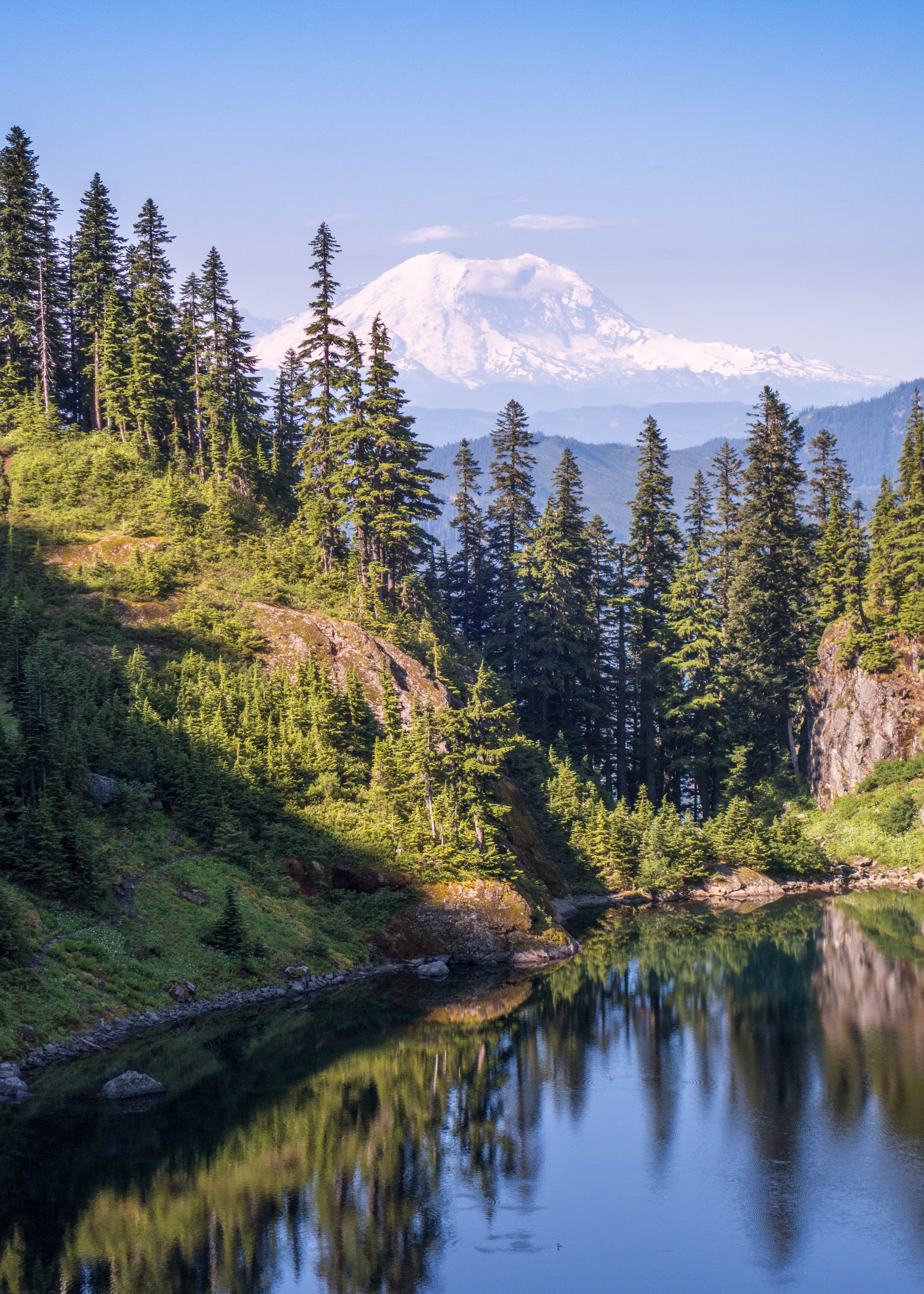 idyllic, reflection, valley, clear, land, non-urban scene, conifer, green color, Mt. Rainier, scenics - nature, lake, tranquility, mountain, growth, 4K, Phone HD Wallpaper