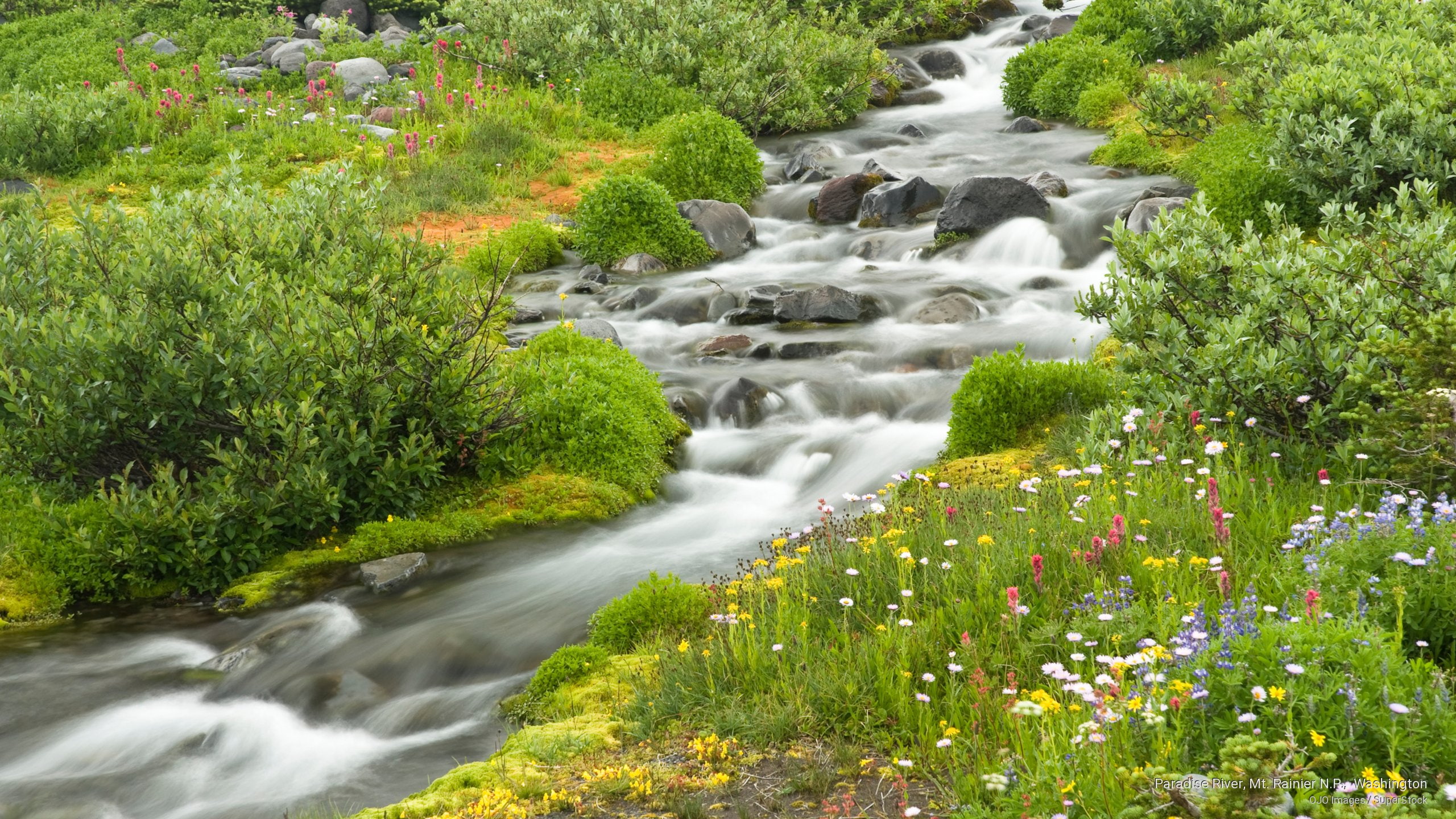 river, p, n, paradise, washington, Spring/Summer, rainier, mt, 2K, HD Wallpaper