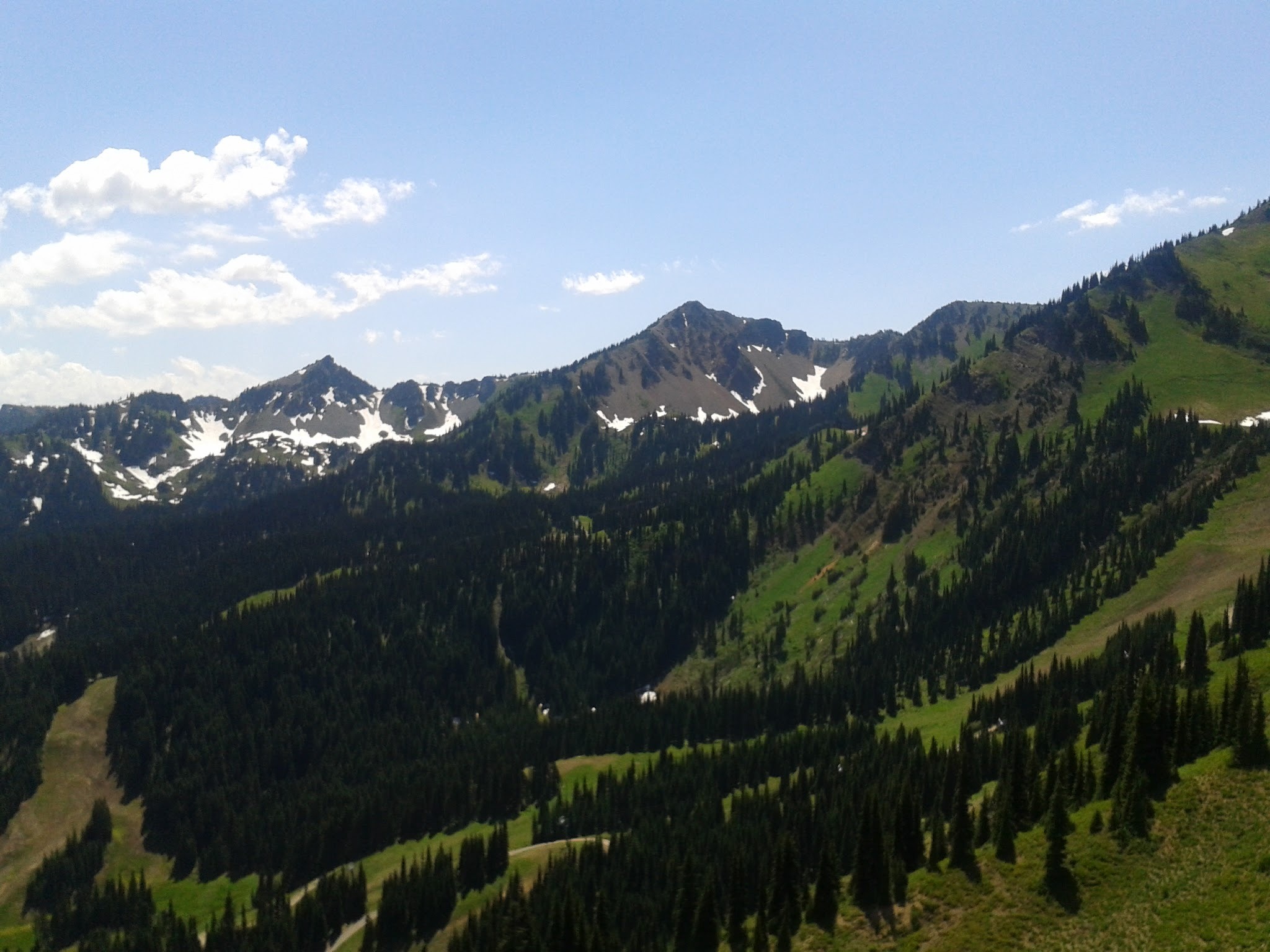 mountains, scenic, wilderness, day, hiking, tree, rocky, trekking, growth, 1080P, snowcapped, top, mt, washington, plant, tranquility, view, alpine, mount rainier, HD Wallpaper