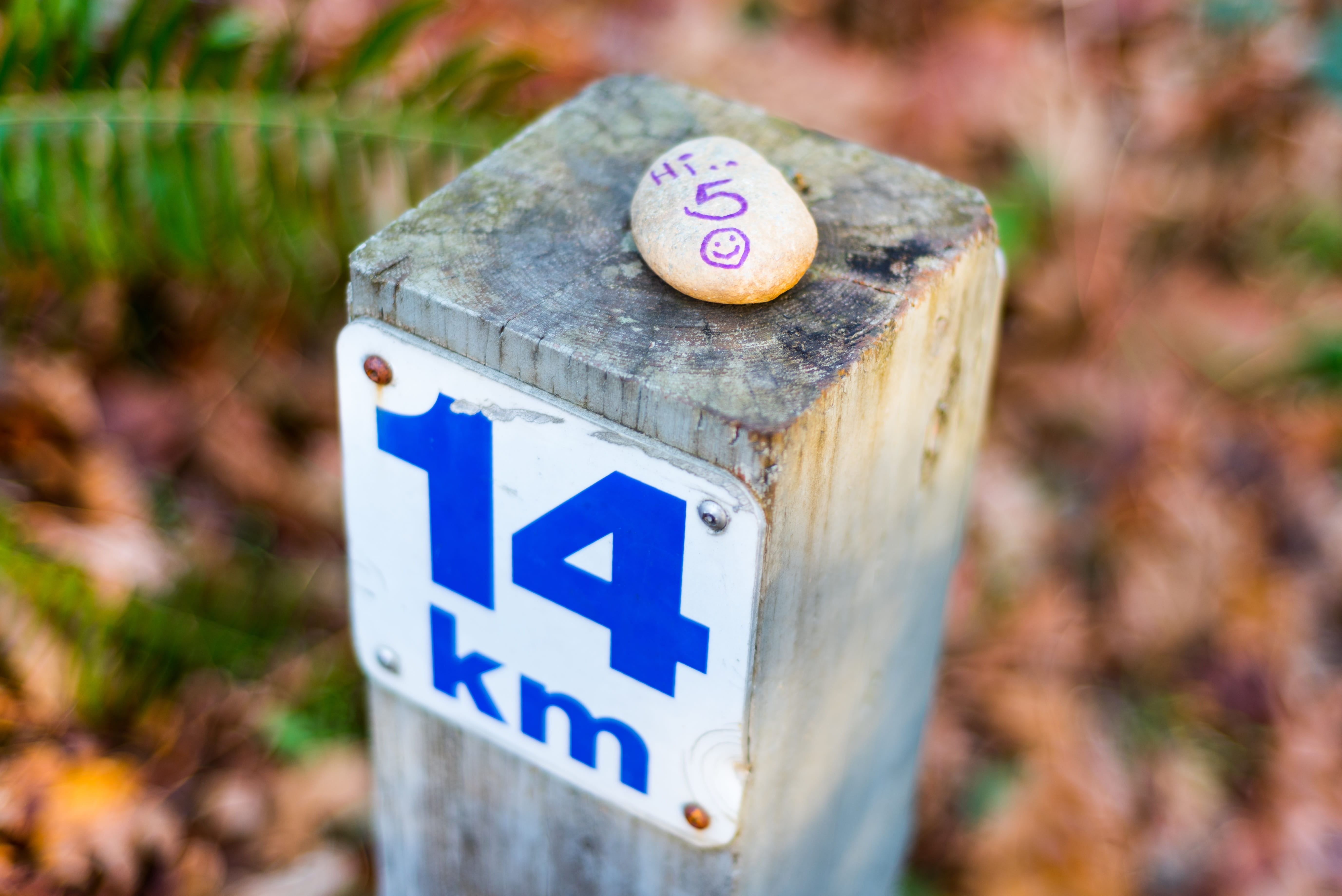 smiling face, communication, 14 km, arrow symbol, wood - material, plant, symbol, sign, direction, directional sign, hi 5, number, uplifting, message, fall, HD Wallpaper