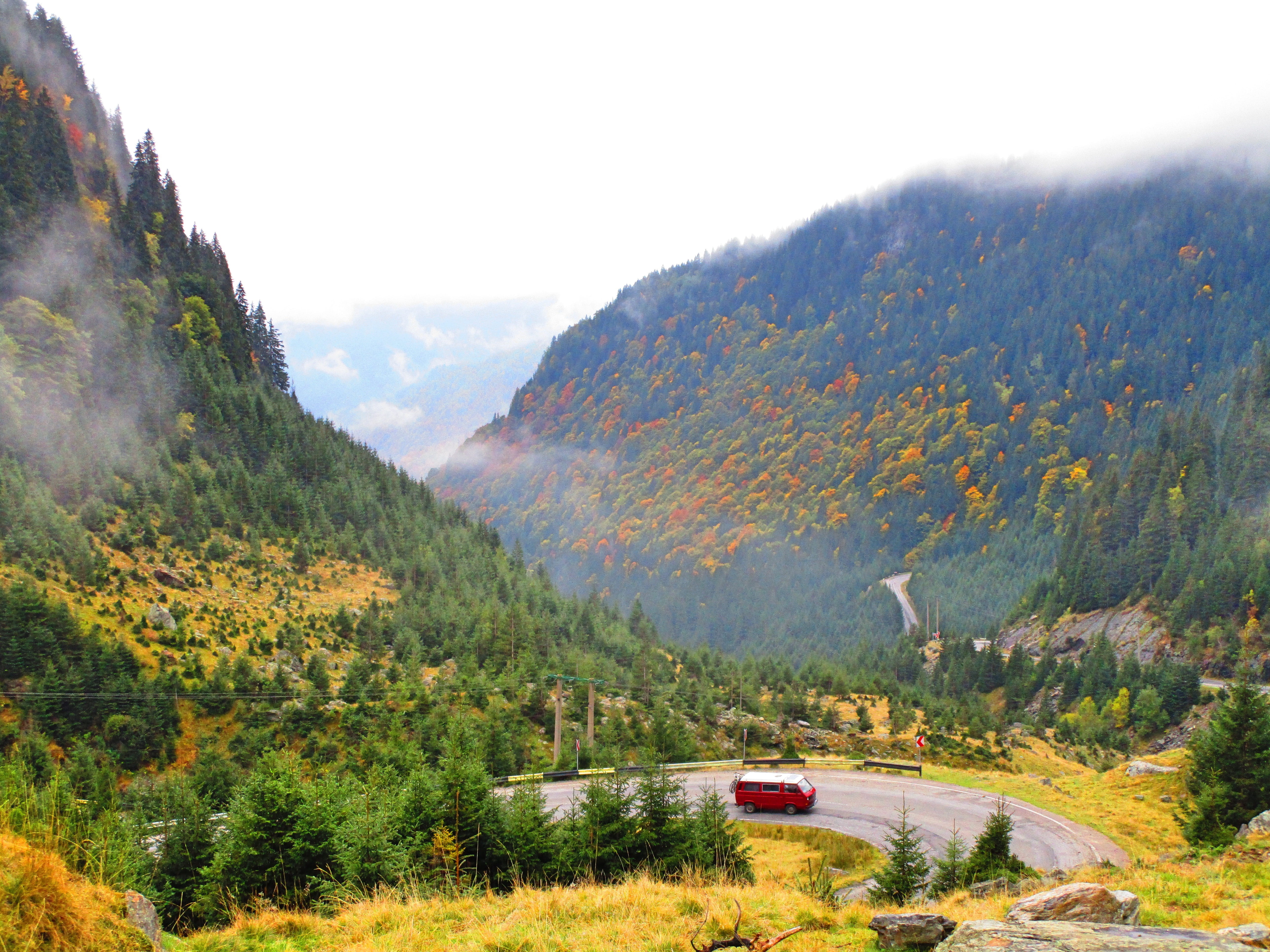 environment, transalpina, non-urban scene, scenics - nature, romania, forest, no people, 5K, nature, plant, mountain, land, landscape, tranquil scene, HD Wallpaper