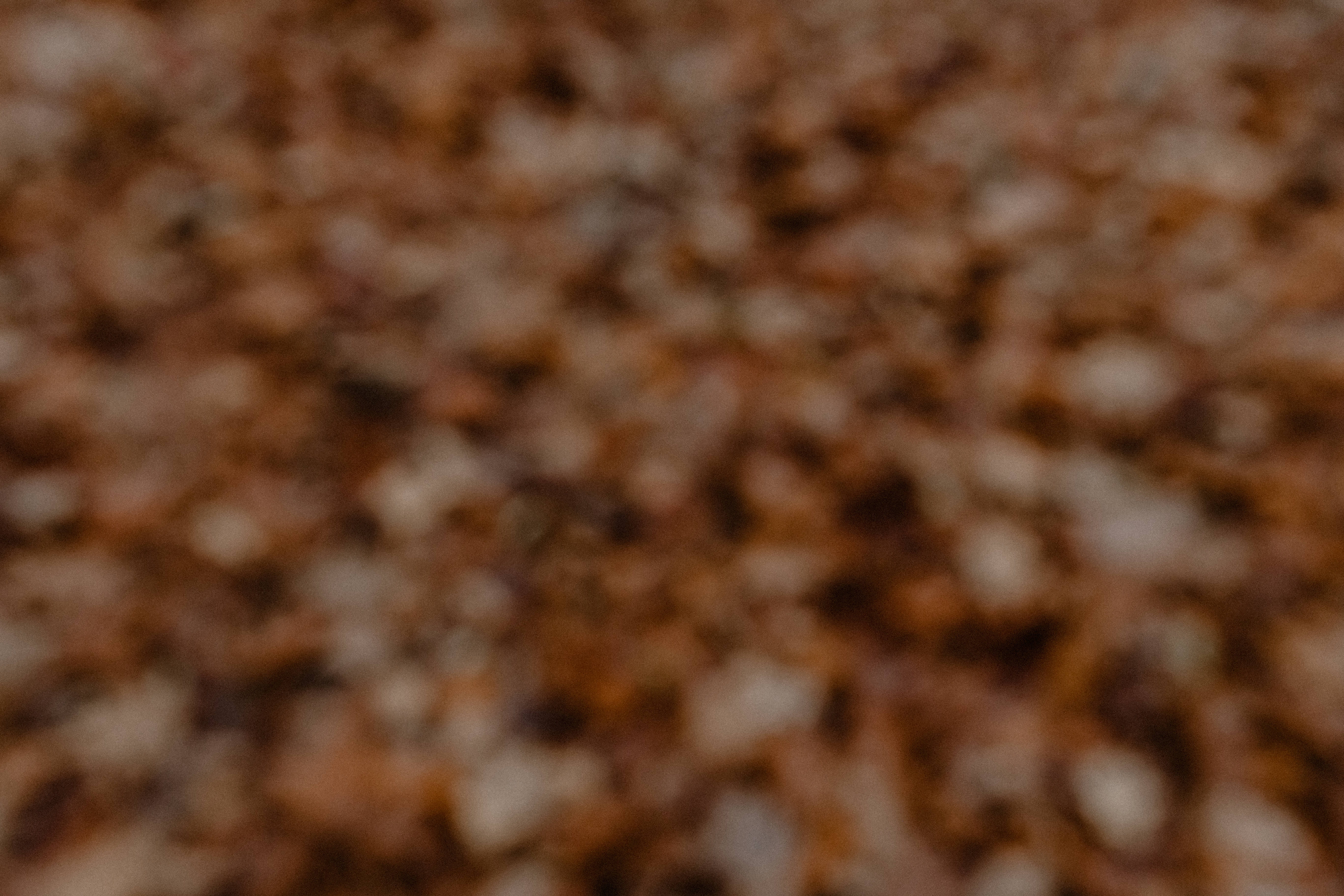 coffee cup, cafe, coffee, fog, autumn, weather, brown, dried food, freshness, coffee - drink, breakfast, no people, food, woods, november, full frame, textured, HD Wallpaper