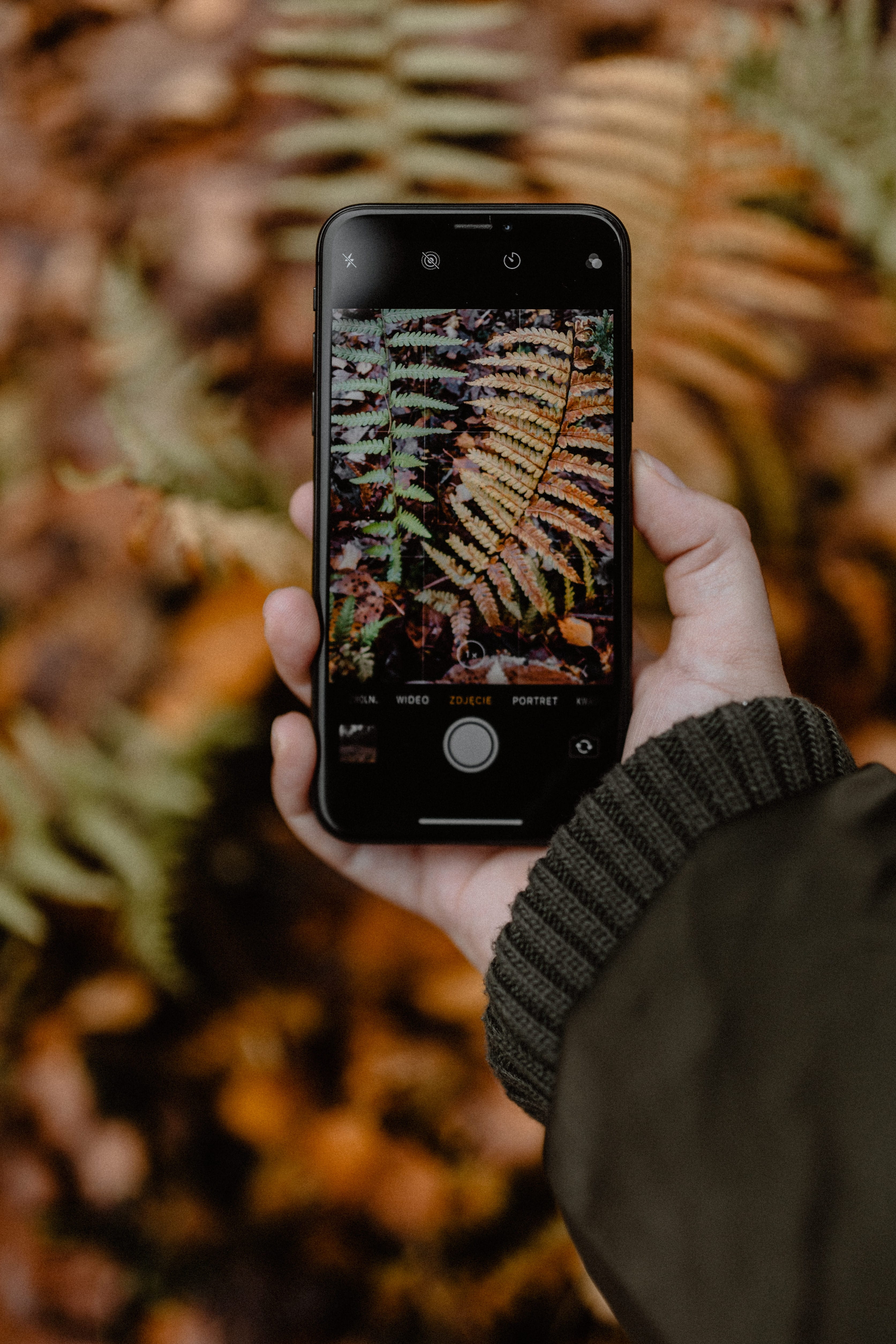 fog, technology, november, foggy, human body part, connection, finger, screen, using phone, smart phone, leisure activity, real people, woods, activity, Phone HD Wallpaper