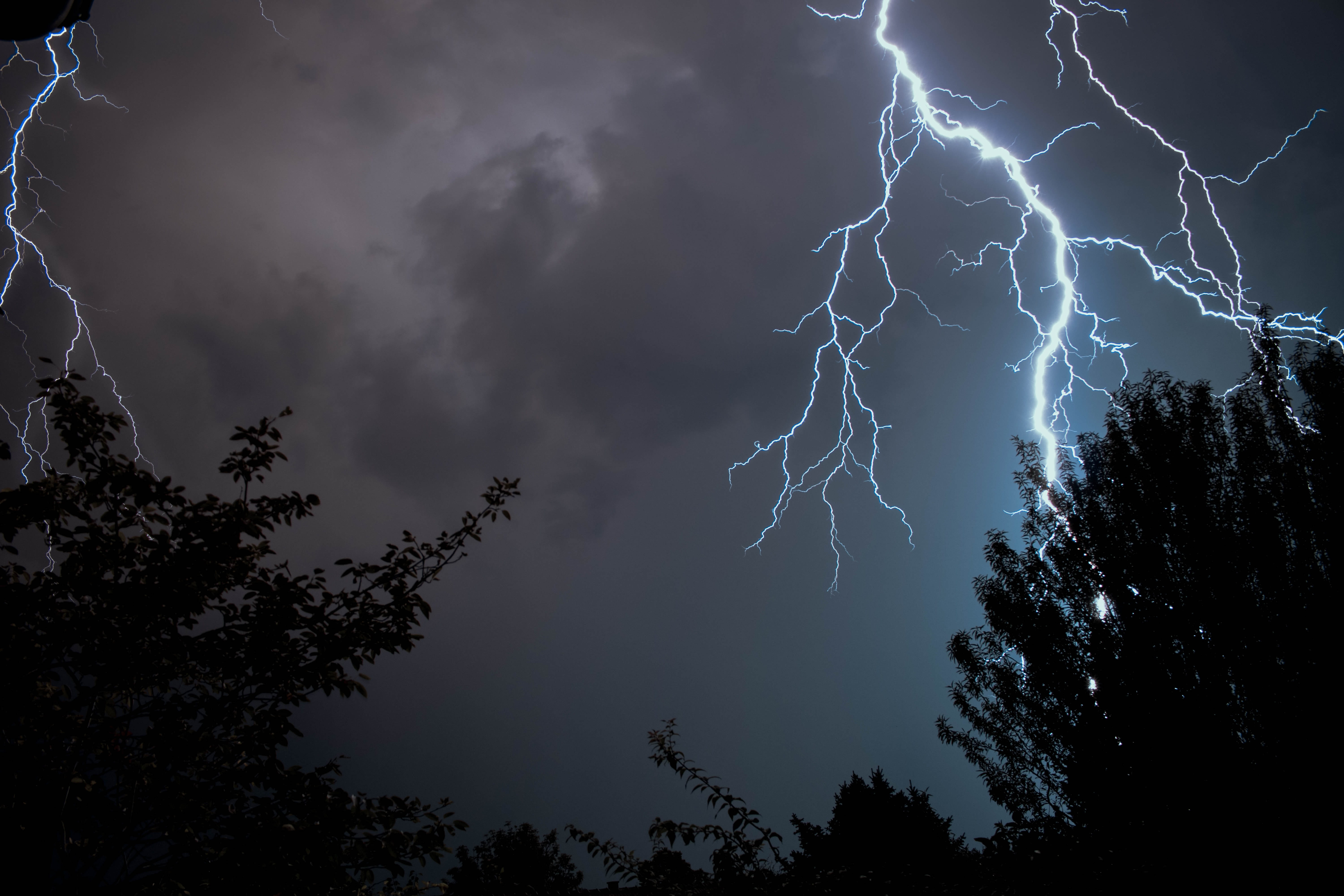 beauty in nature, plant, strike, time, dramatic sky, nature, silhouette, ominous, 5K, electricity, sky, power, thunderstorm, photograph, gray, lightning, HD Wallpaper
