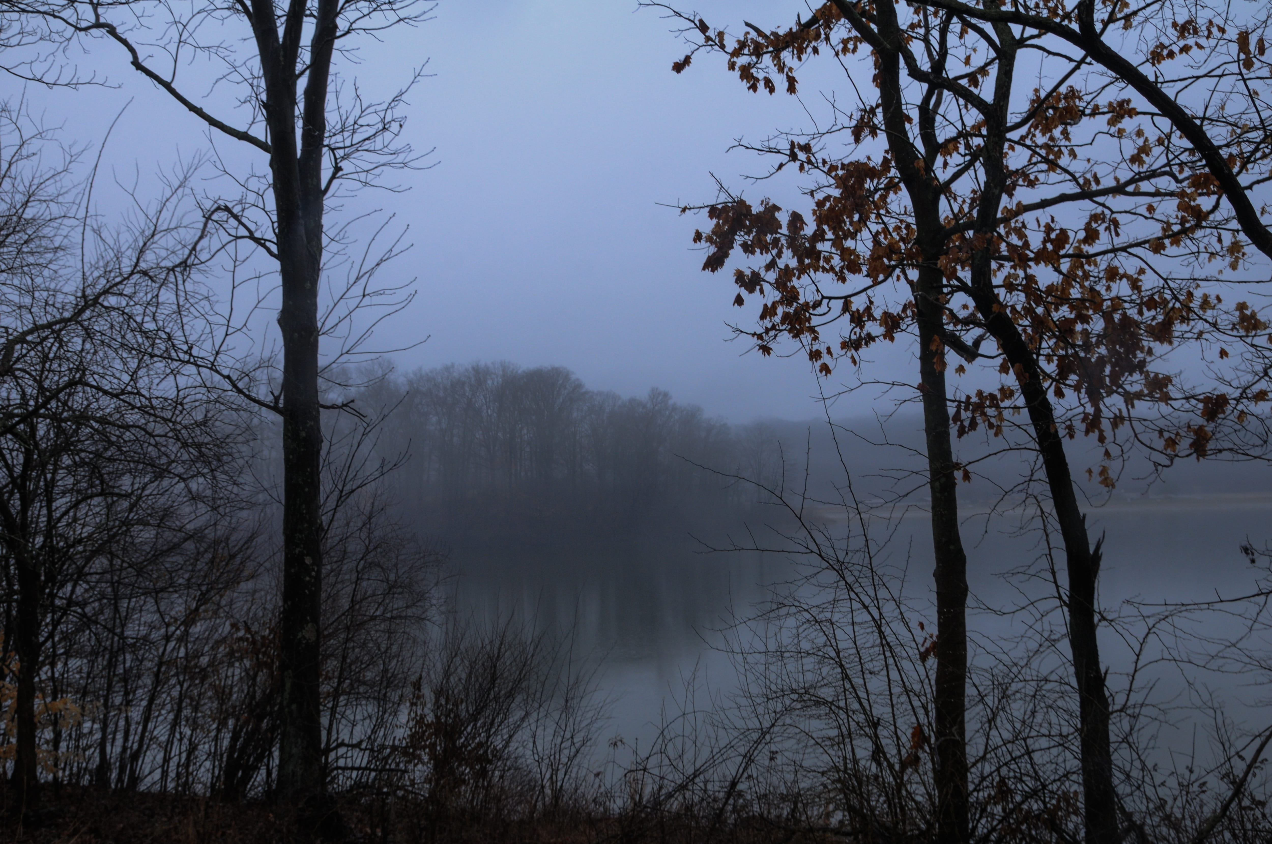 ohio, hazy, trees, fog, scenics - nature, lake, land, water, 4K, forest, no people, nature, dark, tree, tranquil scene, natural, sky, outdoors, plant, HD Wallpaper