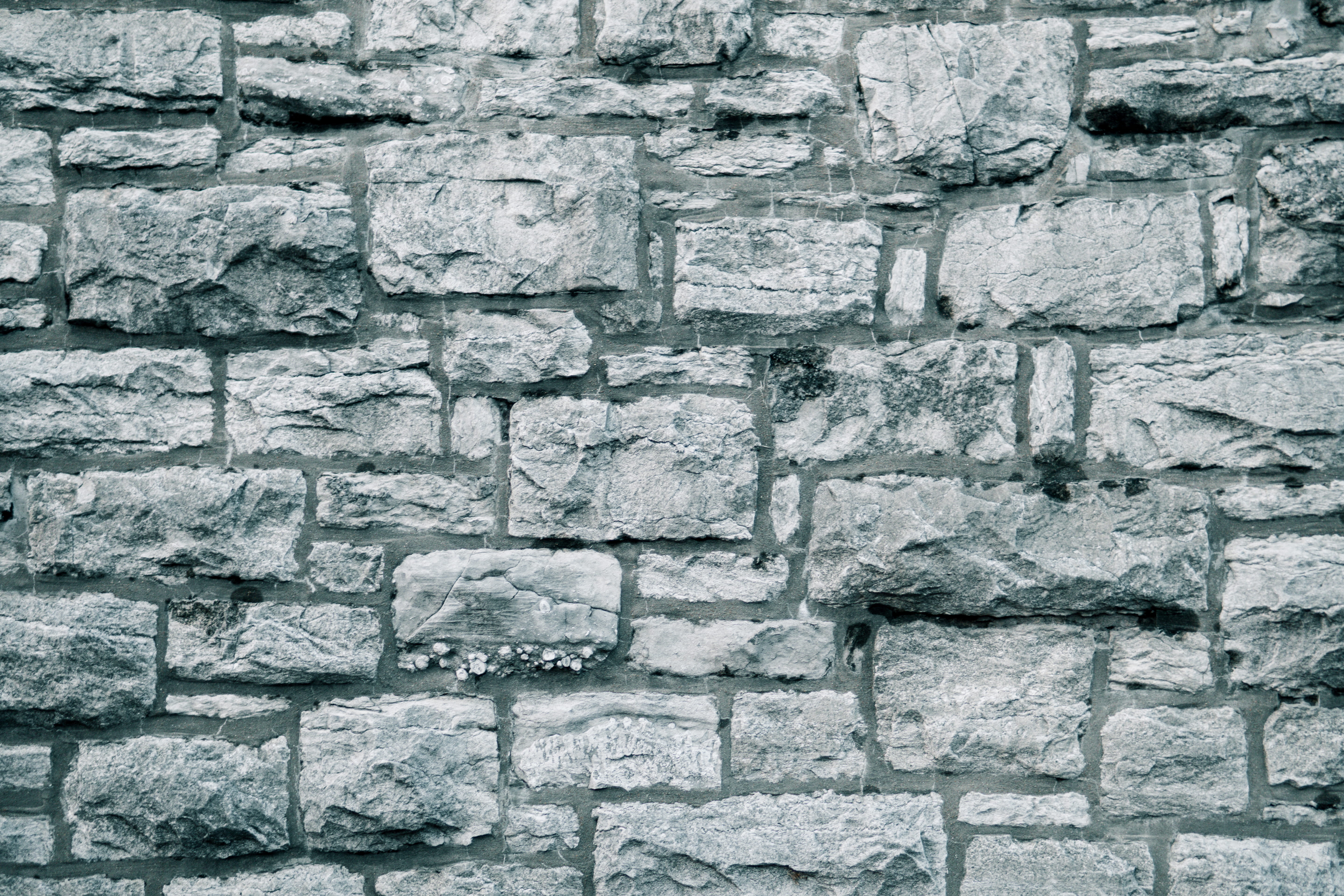 weathered, wall, architecture, day, old, concrete, texture, urban, brick, white, cracked, mortar, textured effect, crack, stone material, backgrounds, textures, HD Wallpaper