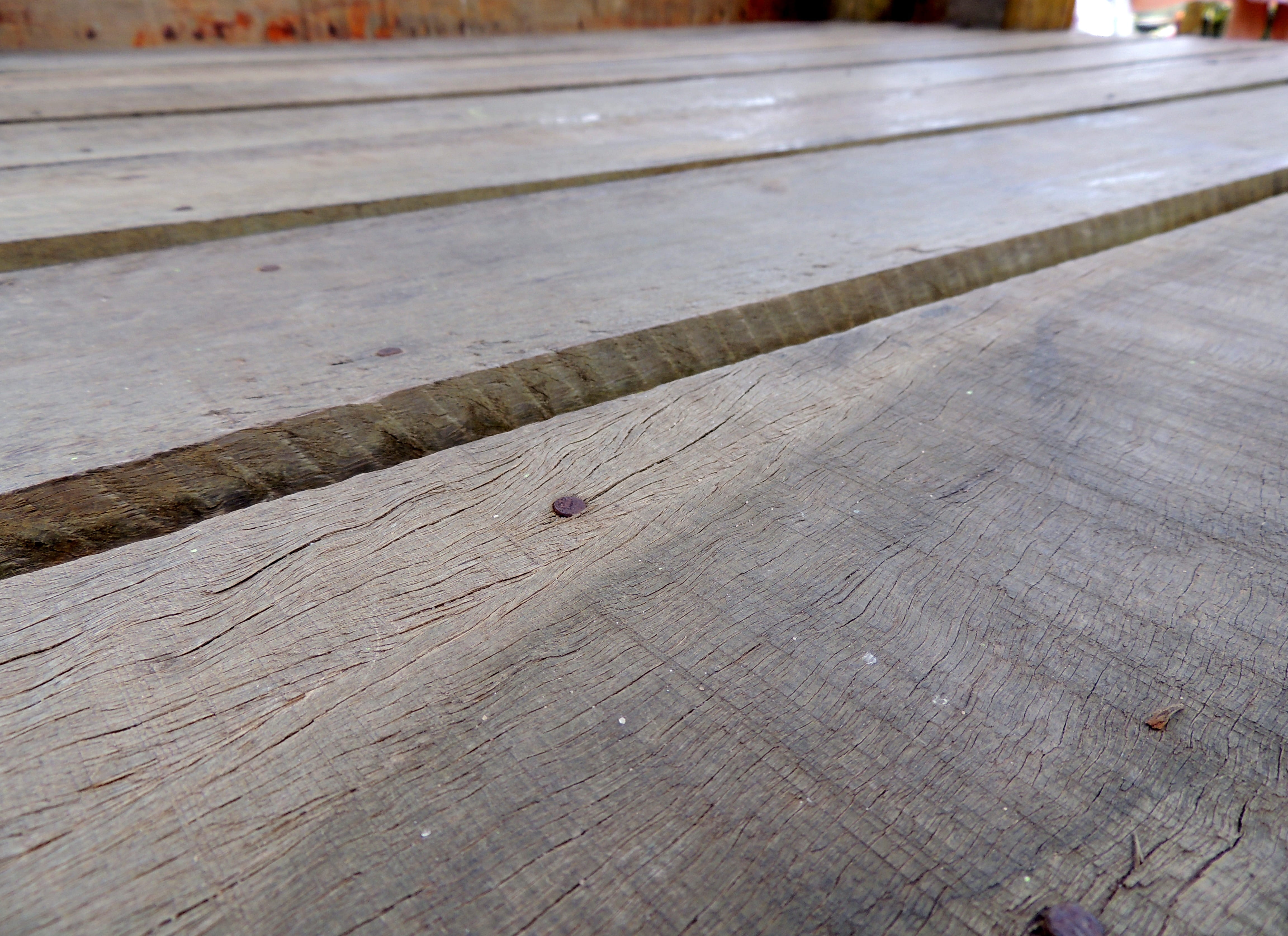 tablado, floor, day, animal wildlife, industry, insect, city, road, animal themes, wood, Wood, animal, 4K, nature, wood - material, hardwood floors, Floors, HD Wallpaper