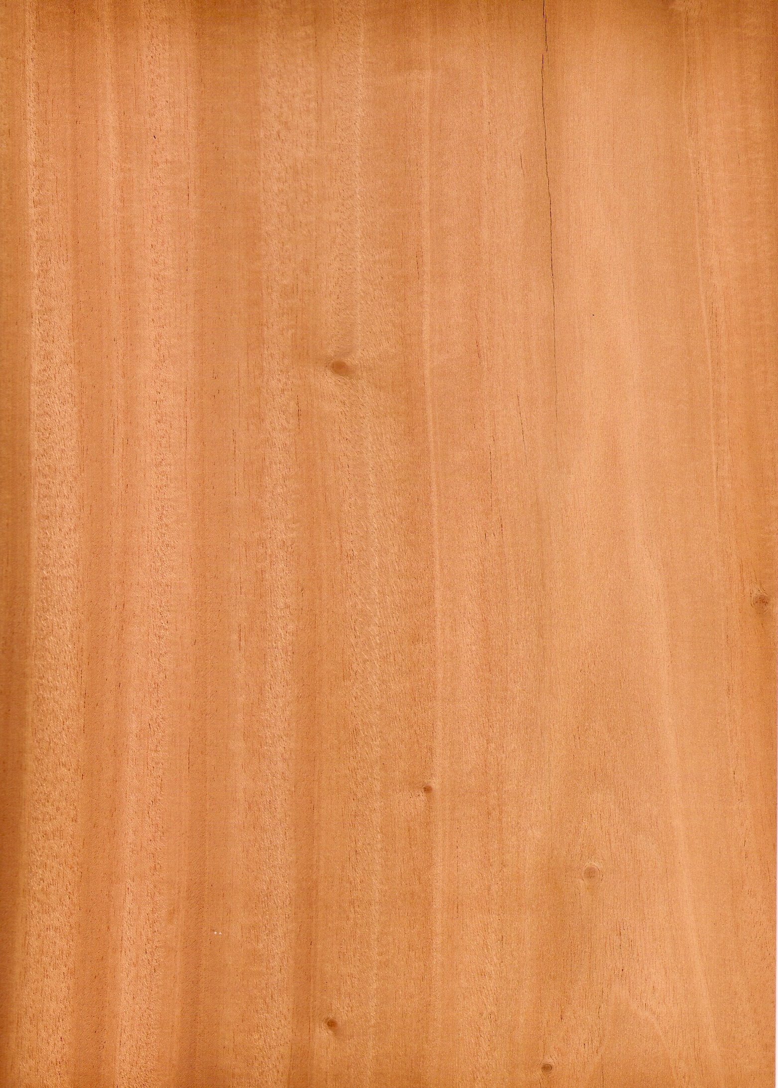 blank, texture, brown, full frame, close-up, abstract, wood grain, tree, 1080P, parquet floor, abstract backgrounds, indoors, beige, plank, pattern, wooden, Phone HD Wallpaper