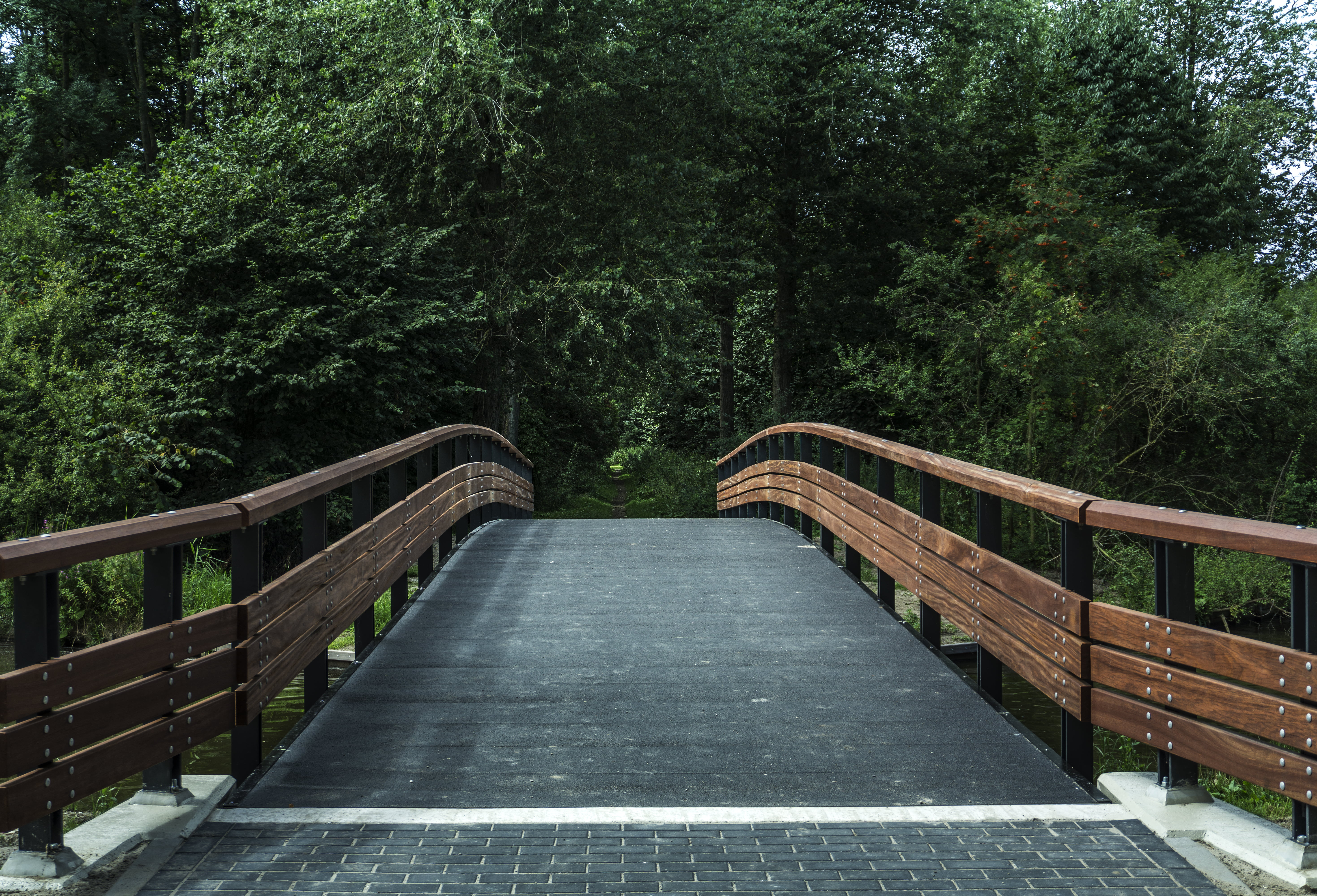 woodland, built structure, architecture, transportation, river, connection, green Color, wood - Material, tree, park - Man Made Space, black, forest, the way forward, HD Wallpaper