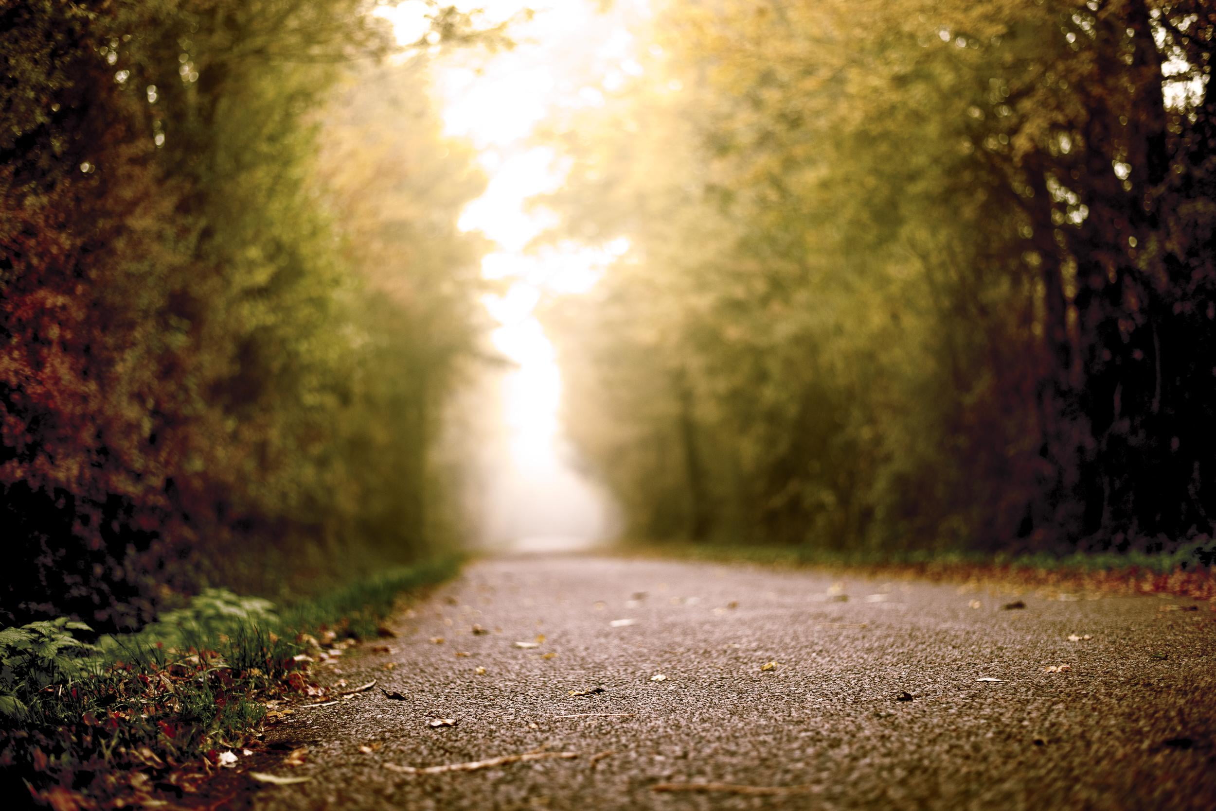 scene, route, photograph, landscape, le, macro, 1080P, serein, région, bord, nature, NIKKOR, scenery, Sur, macro photograph, de, quiet, road, HD Wallpaper
