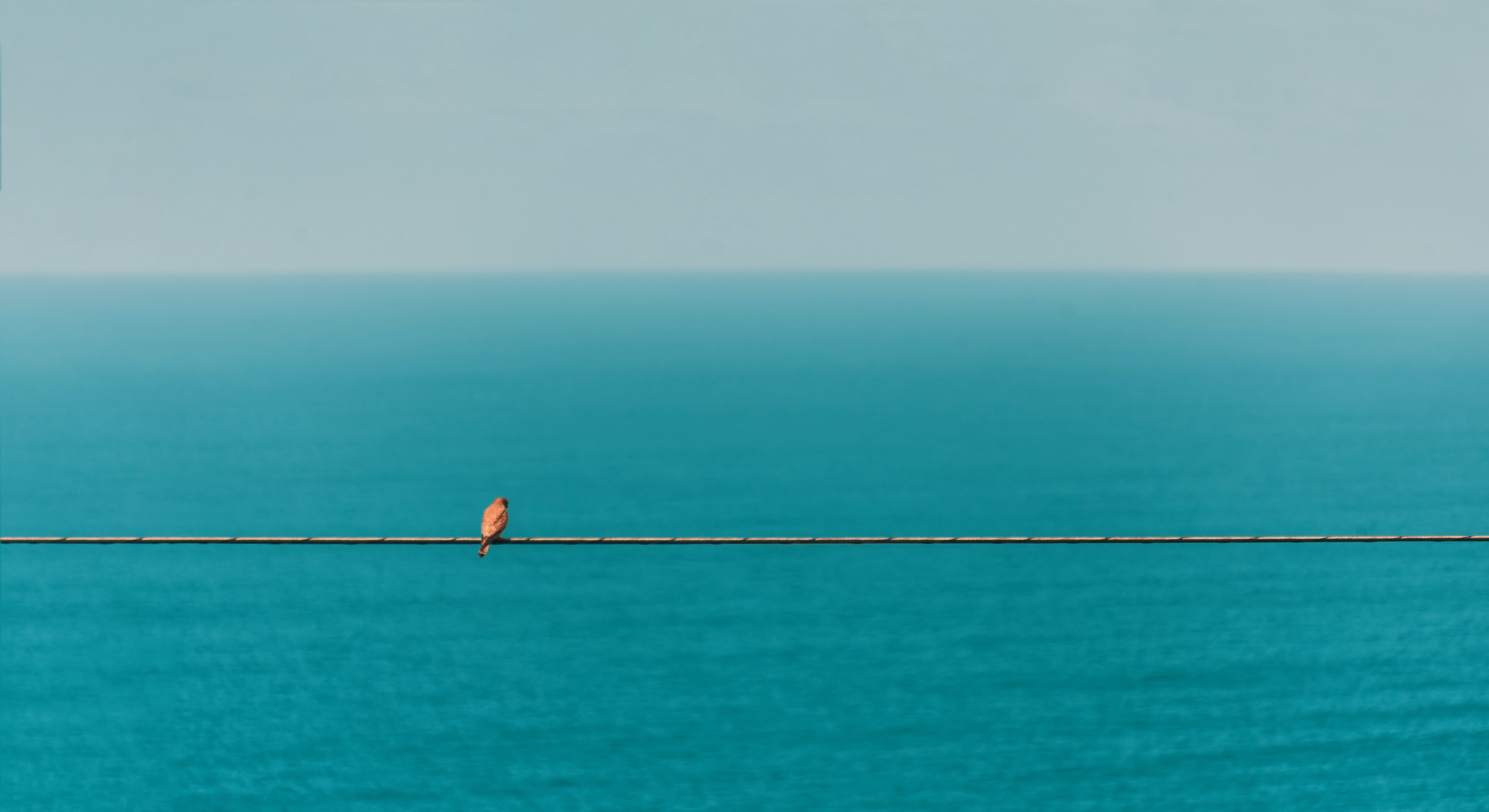 sea, tranquility, waterfront, clear sky, outdoors, sky, tranquil scene, bord, spain, copy space, nature, one person, 8K, horizon over water, scenics - nature, HD Wallpaper