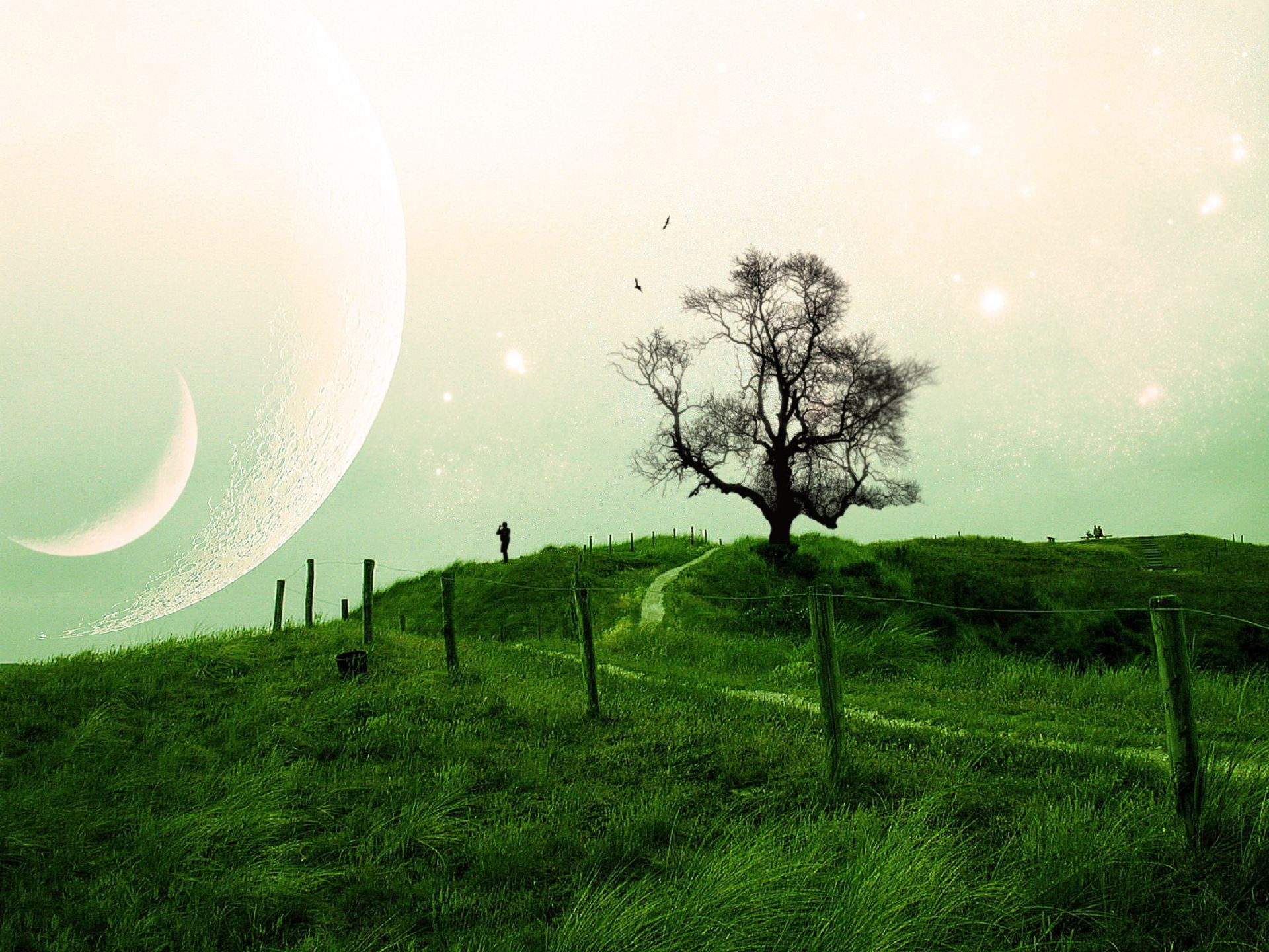 mood, Moon, sky, sci, People, Trees, 1080P, landscapes, fi, Bords, planets, HD Wallpaper
