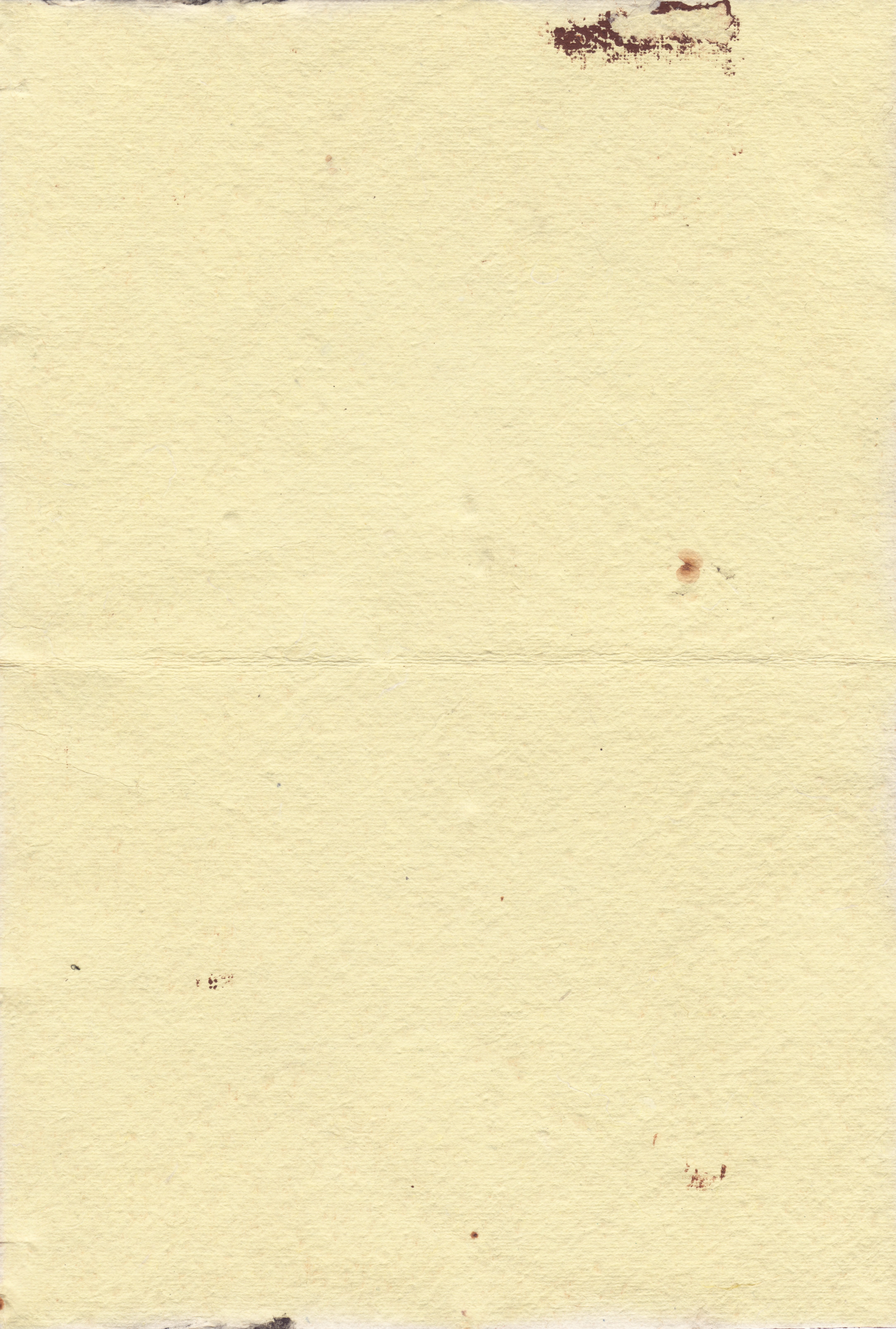 paint, grunge, no people, textured, animal themes, bird, animal, high angle view, wall - building feature, building exterior, beige, full frame, copy space, Phone HD Wallpaper