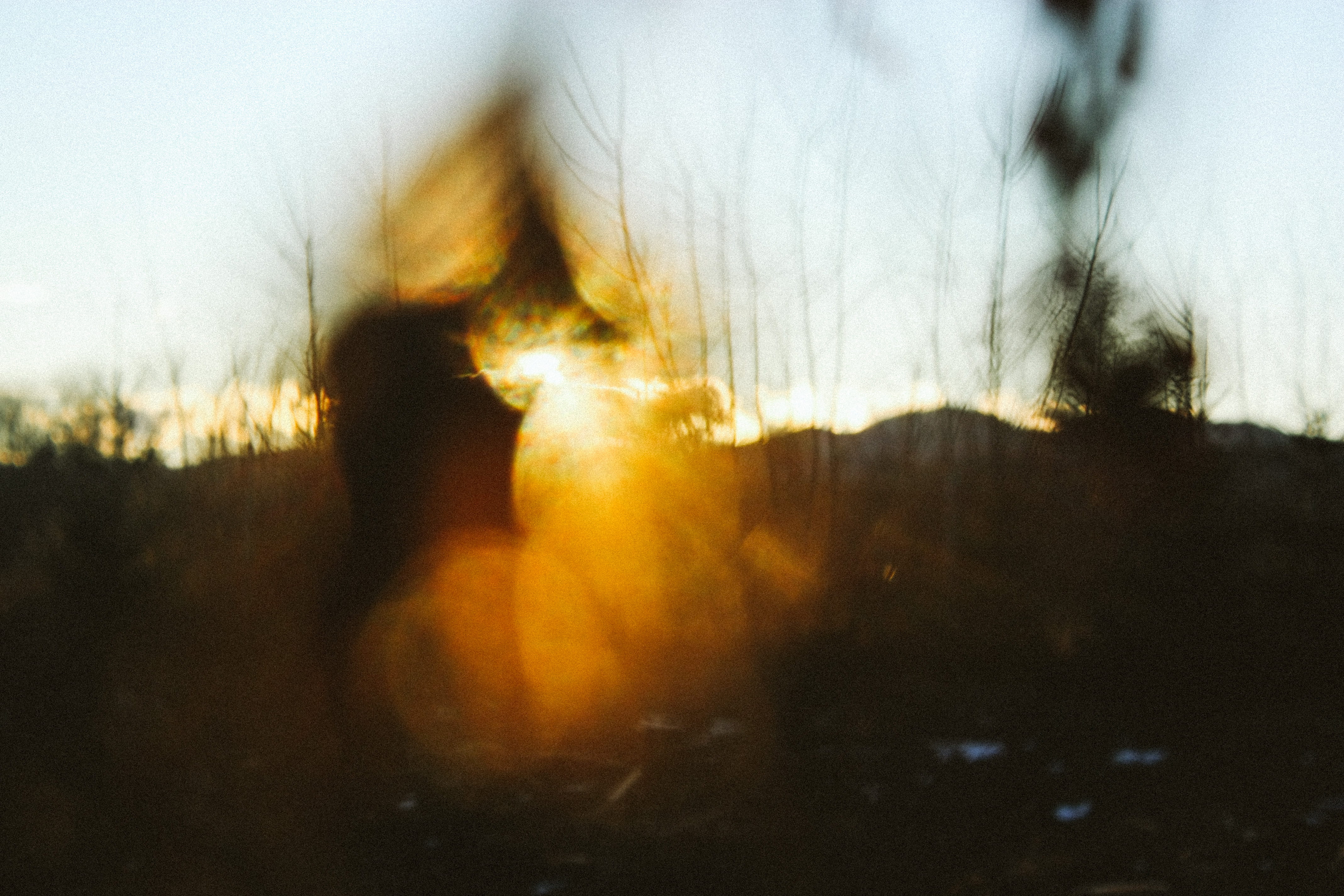 blurred motion, one person, real people, land, outdoors, lifestyles, field, grainy, 4K, sky, autumn, lens flare, tree, three quarter length, leisure activity, HD Wallpaper