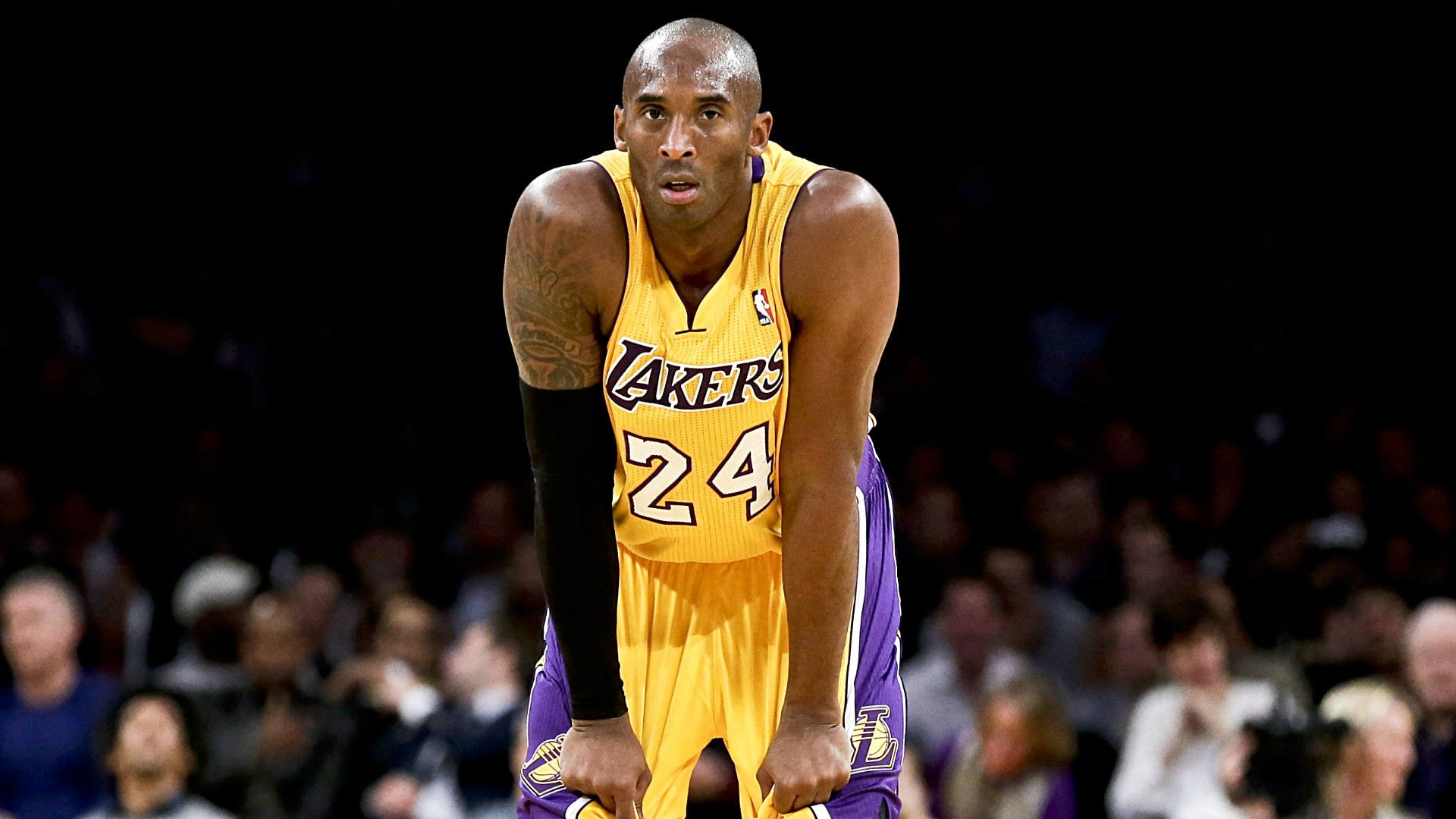 men, focus on foreground, lakers, sportsman, competition, three quarter length, nba, one person, young adult, basketball, competitive sport, angeles, athlete, HD Wallpaper
