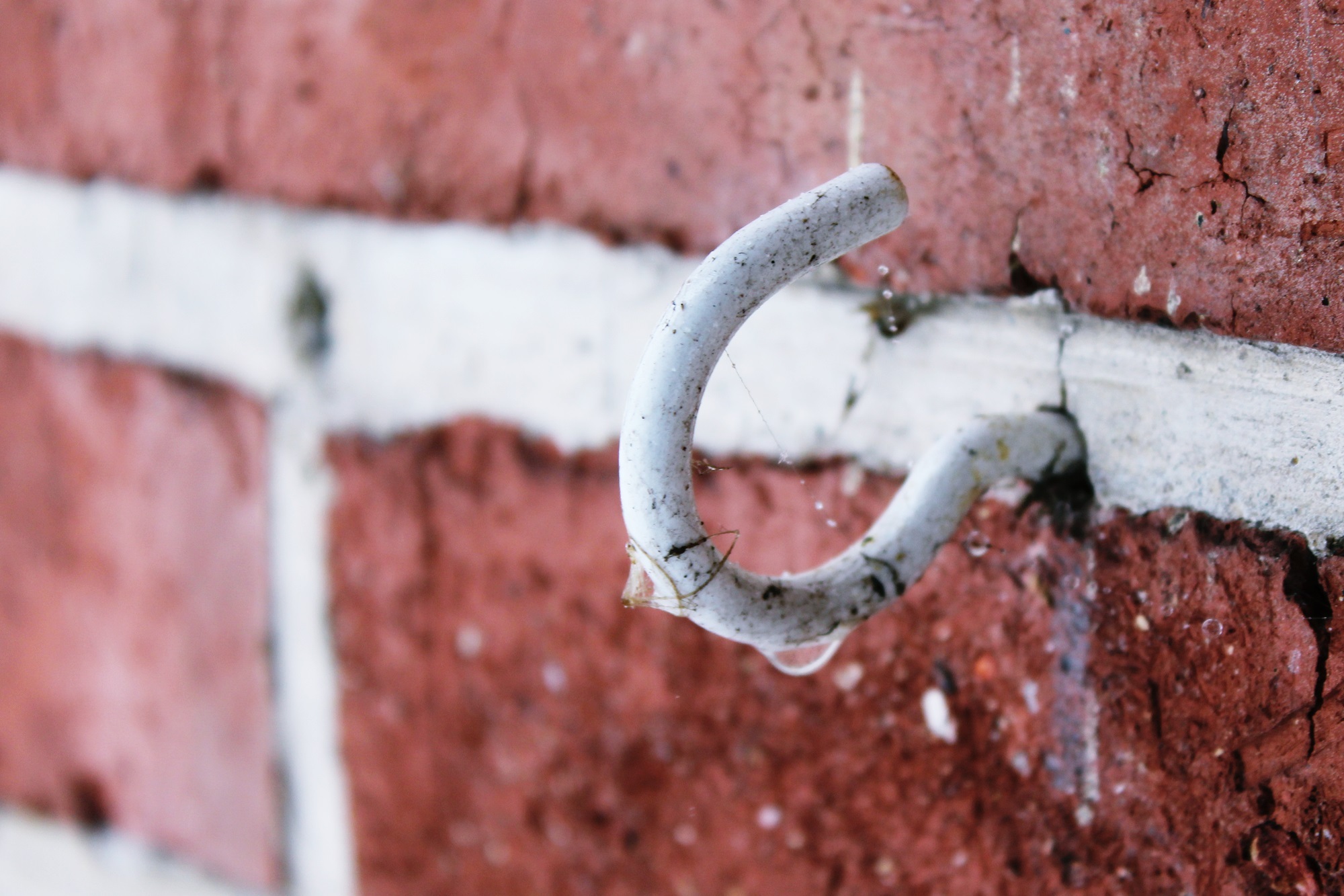 raindrop, brick wall, brick, day, wall - building feature, rusty, terakotta, close, hook, structure, drip, outdoors, dirt, wet, wall, close-up, clinker, HD Wallpaper