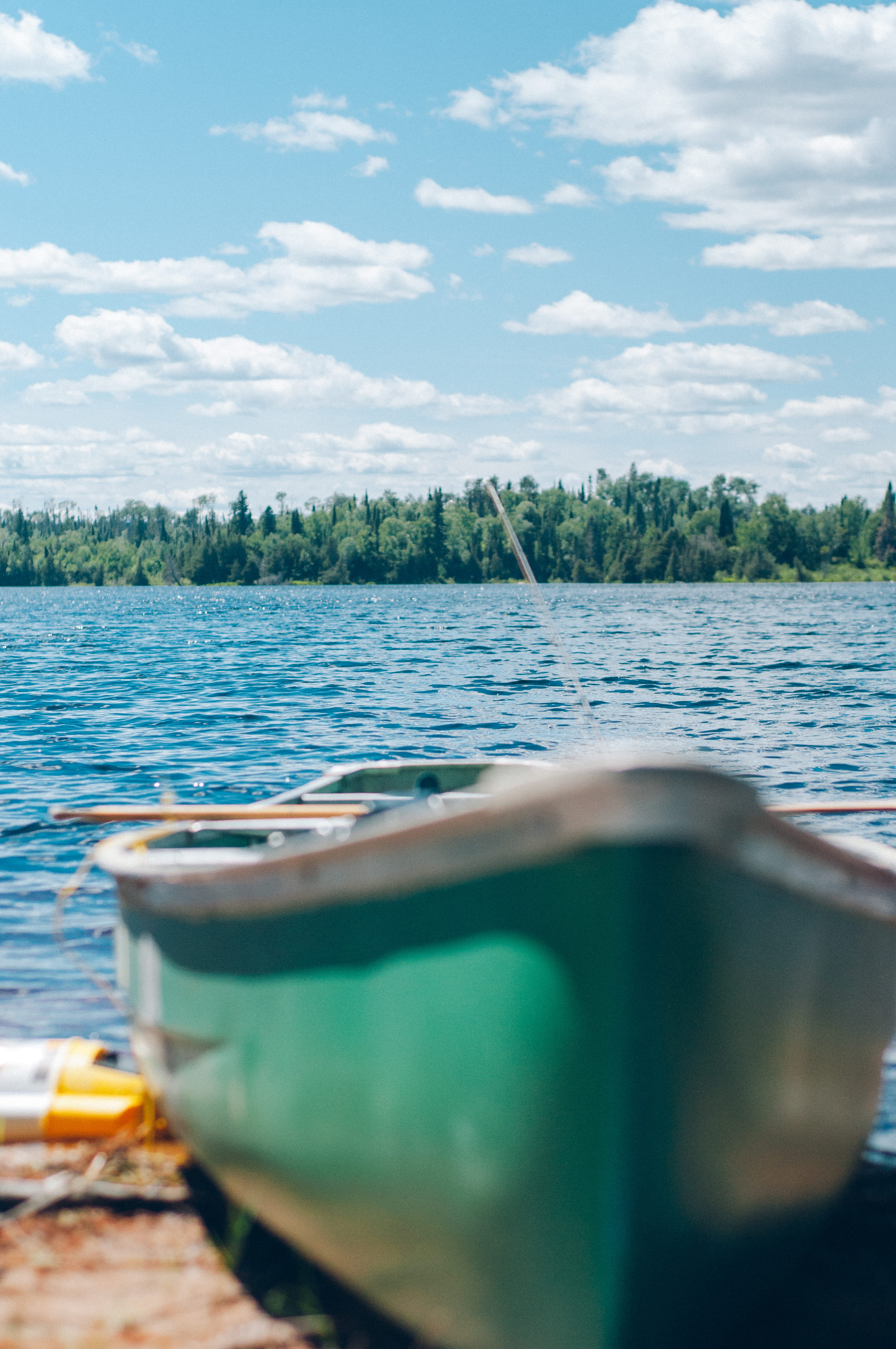 lake, clinker, plant, 4K, nautical vessel, beauty in nature, selective focus, sky, cloud - sky, outdoor, closeup, tree, green, fishing, tranquility, day, Phone HD Wallpaper