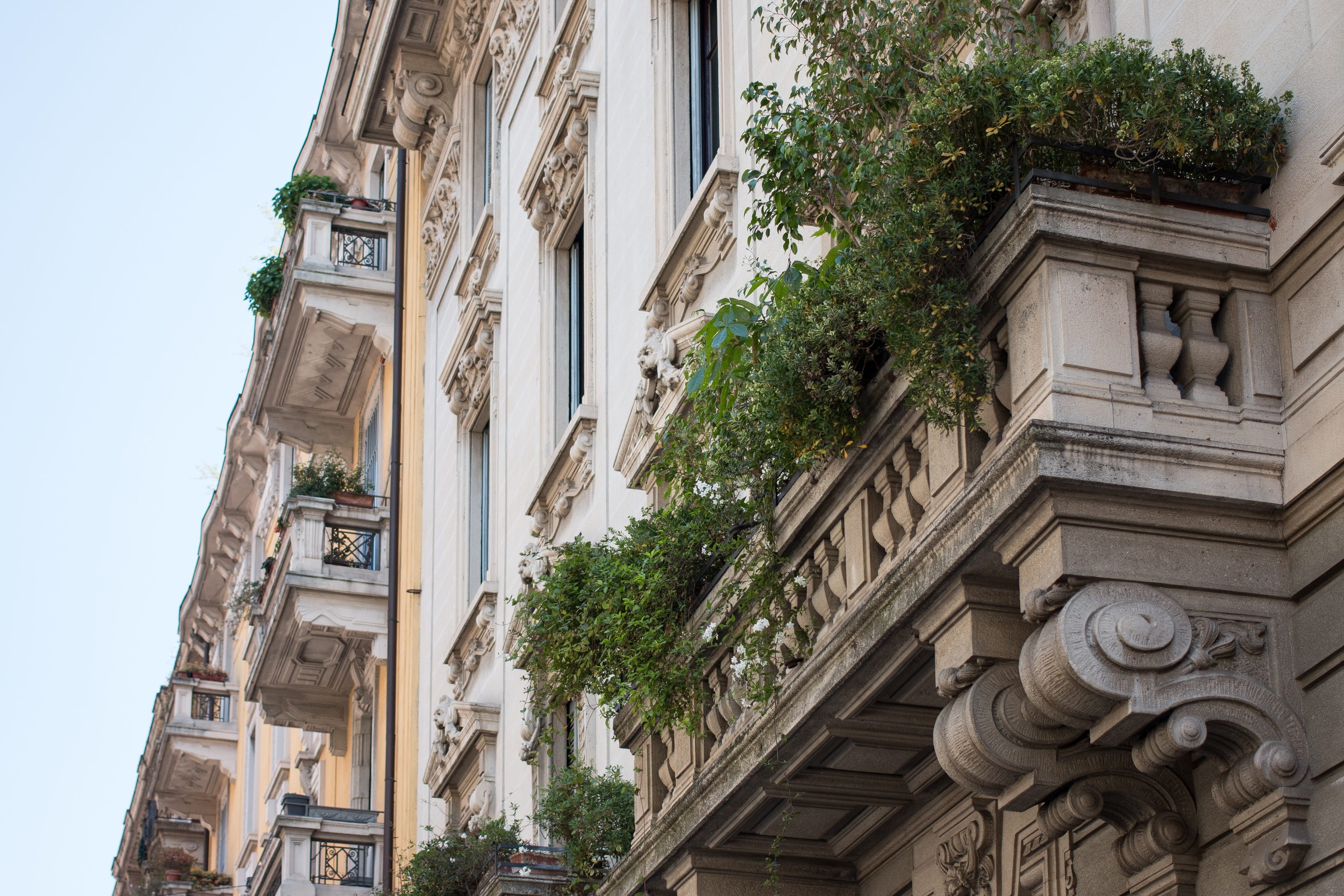 city, building exterior, 2K, residential district, ornate, craft, growth, tree, outdoors, milan, low angle view, sky, balcony, building, hauswand, architecture, HD Wallpaper