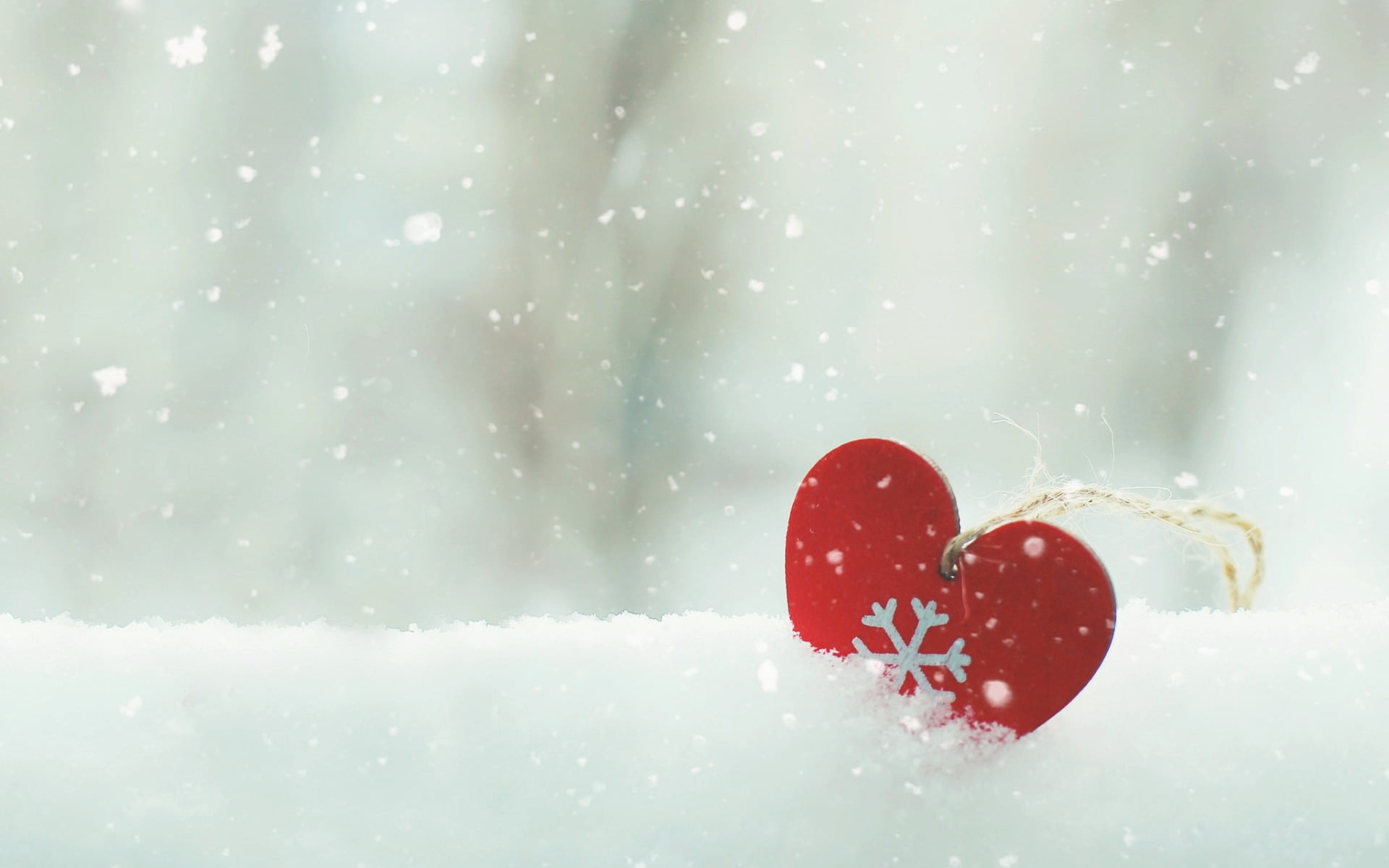 frozen, shaped, focus on foreground, emotion, cold temperature, day, Love, snowing, valentines day - holiday, heart, red, decor, heart shape, no people, HD Wallpaper