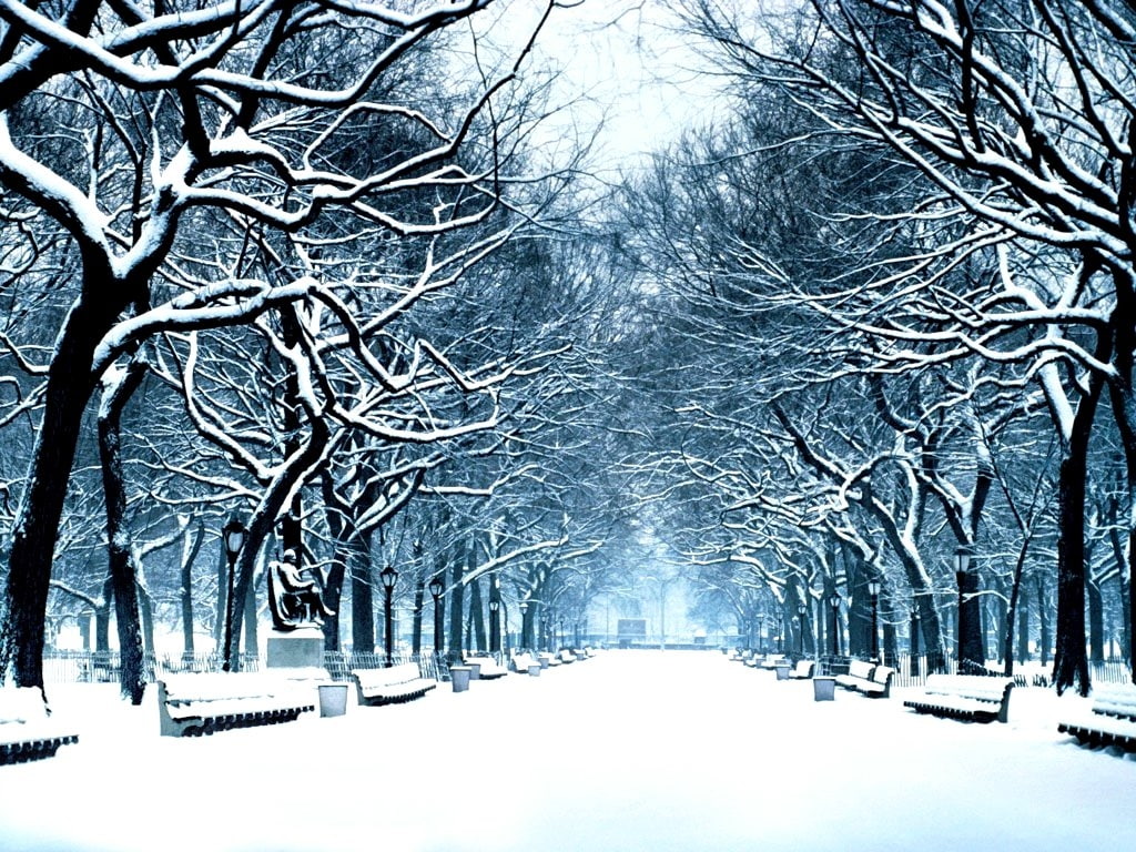 art, other, Winter, season, hd, nature, 480P, HD Wallpaper