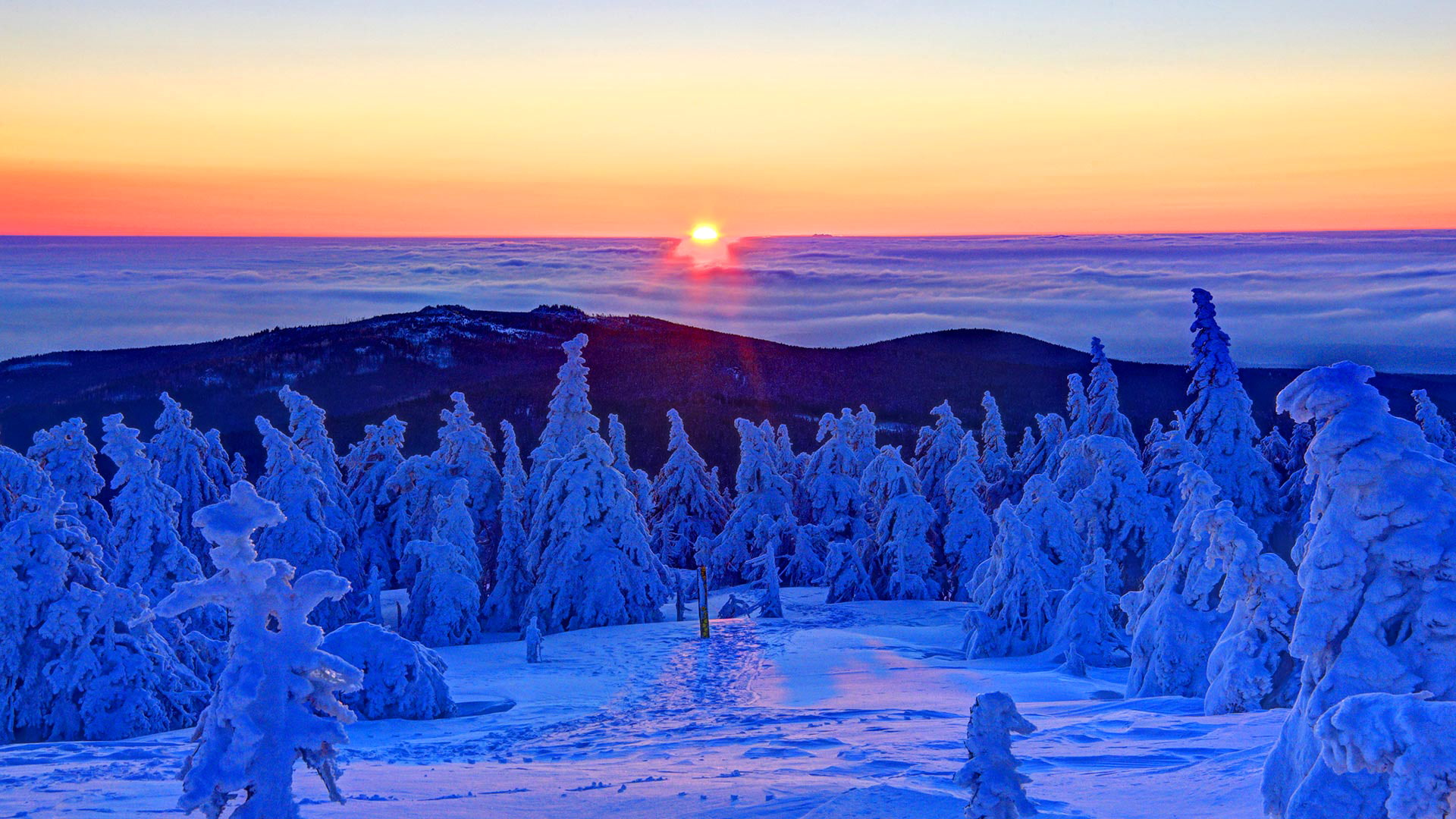 1080P, winter, top, forest, sunrise, dawn, Germany, the Brocken mountain, geroeva, the sun, Saxony-Anhalt, snow, HD Wallpaper