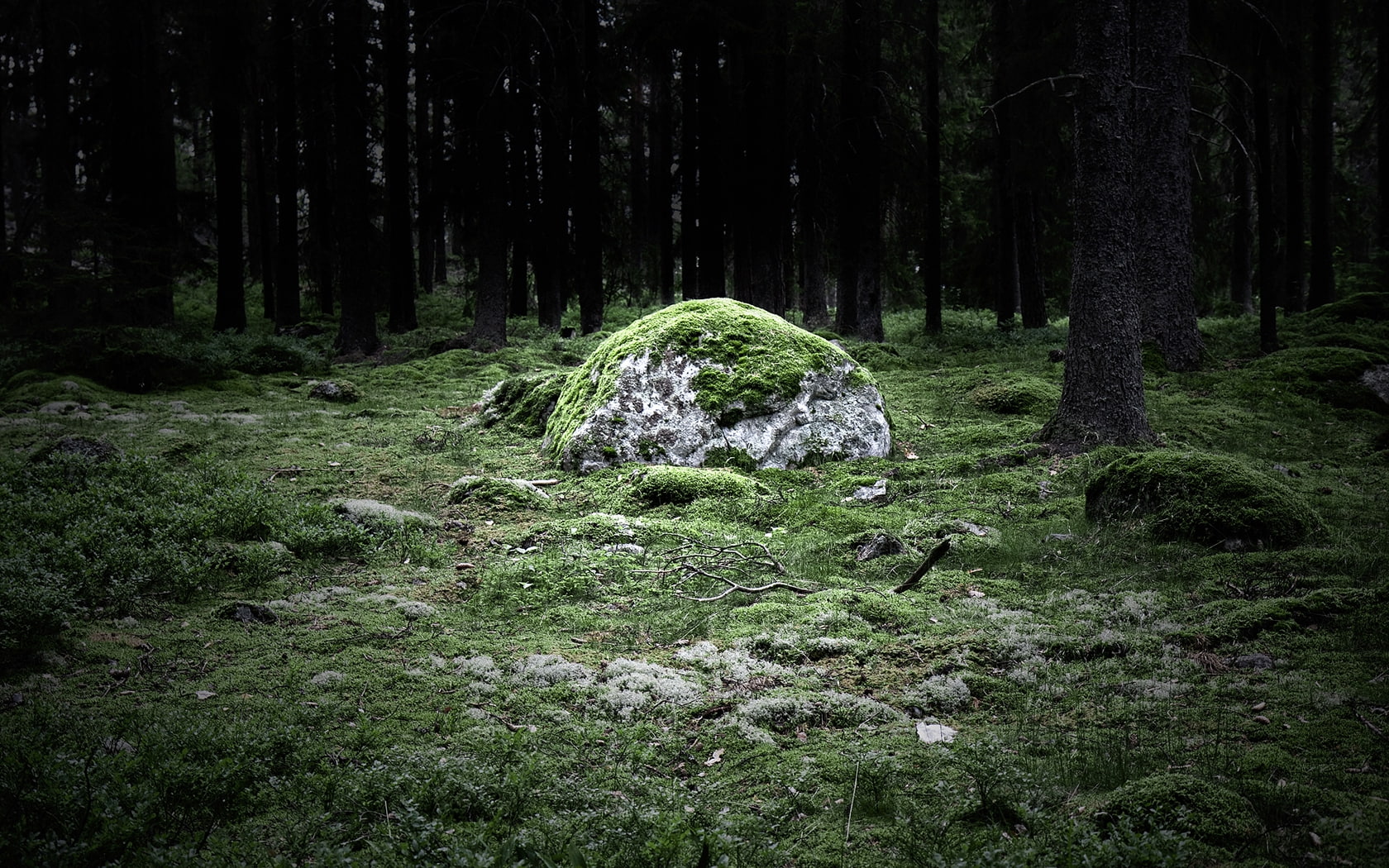 Blocksberg, art, White witch, hd, nature, magic, brocken, Stone, forest, Wicca, Magic stone, 720P, HD Wallpaper