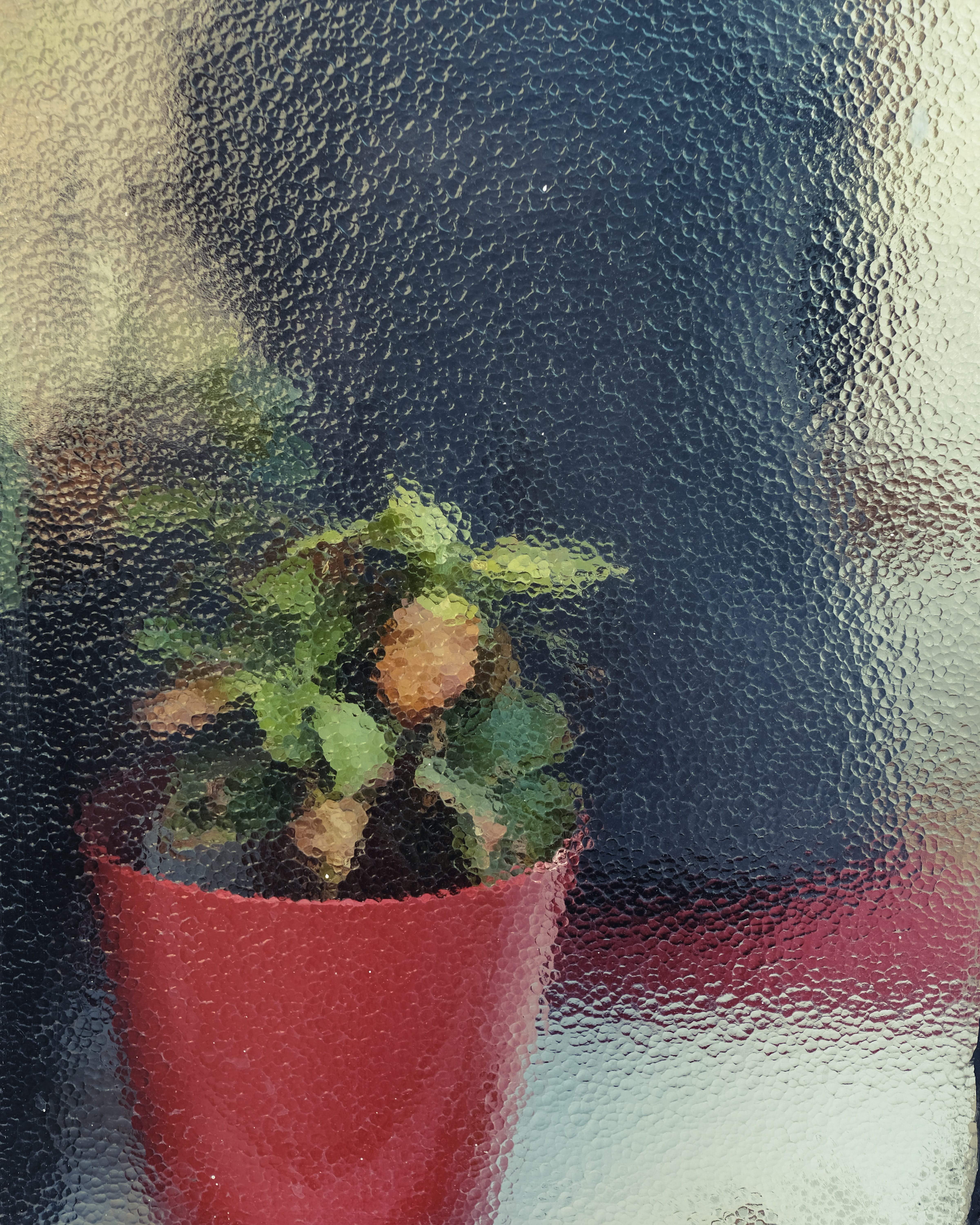 green Color, glass - material, pot, green, transparent, no People, glass, freshness, 5K, drinking glass, indoors, plant, window, leaf, refreshment, plant part, Phone HD Wallpaper