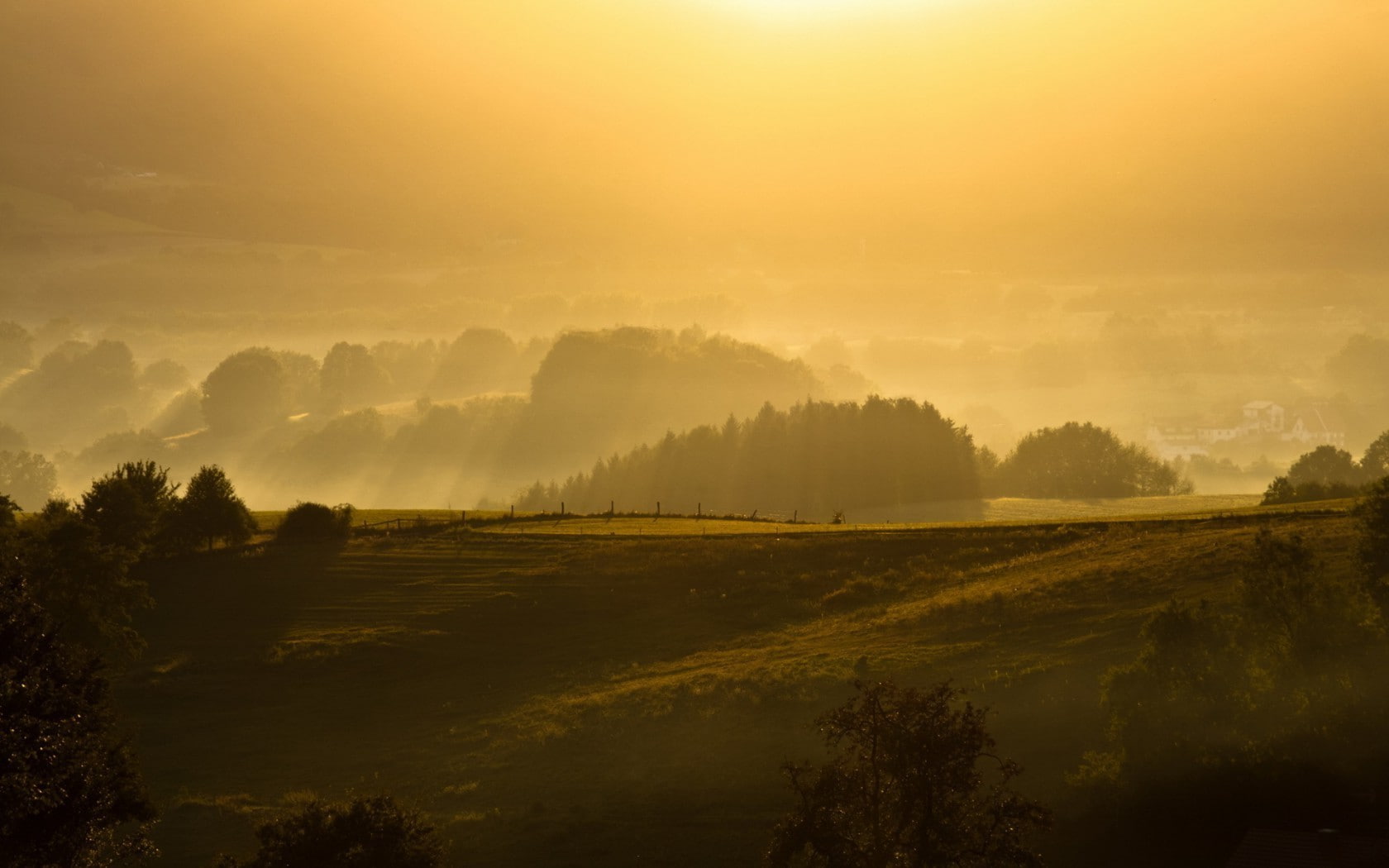 forest, landscape, Brume, 720P, sunlight, HD Wallpaper