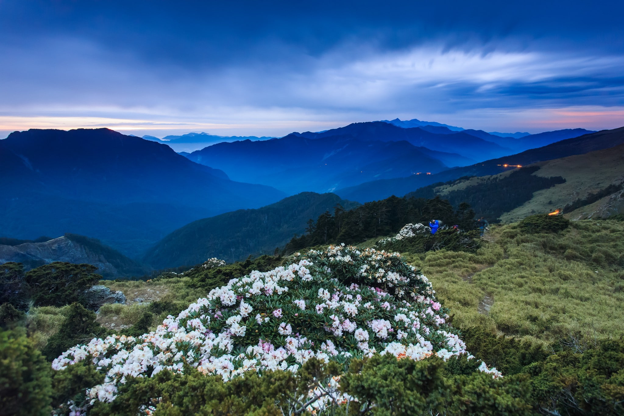 nature landscape photography flowers mountains brume, 1080P, HD Wallpaper