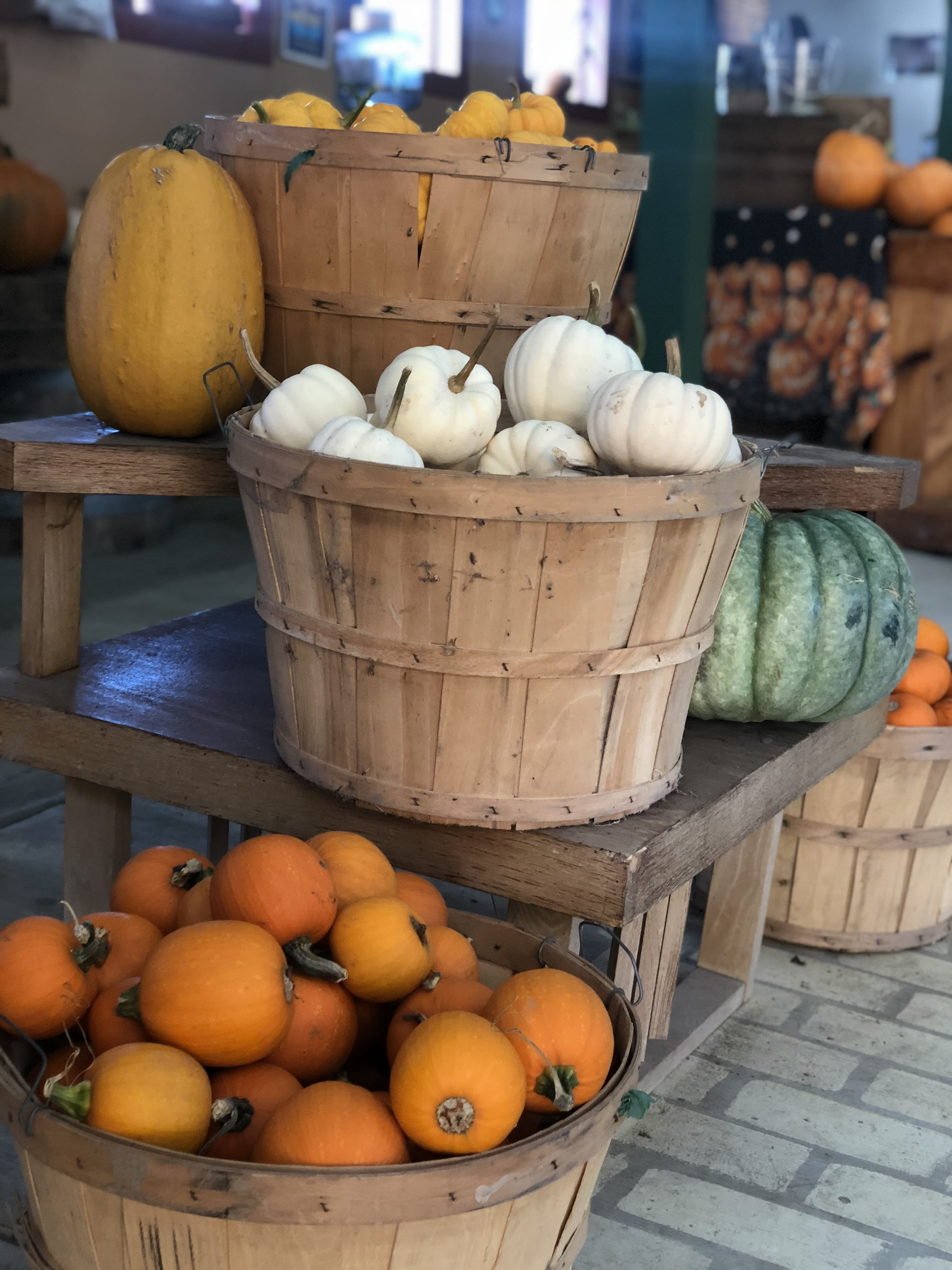 market stall, 1199 mad river rd, market, vegetable, no people, retail display, for sale, united states, thanksgiving, outdoors, large group of objects, Phone HD Wallpaper