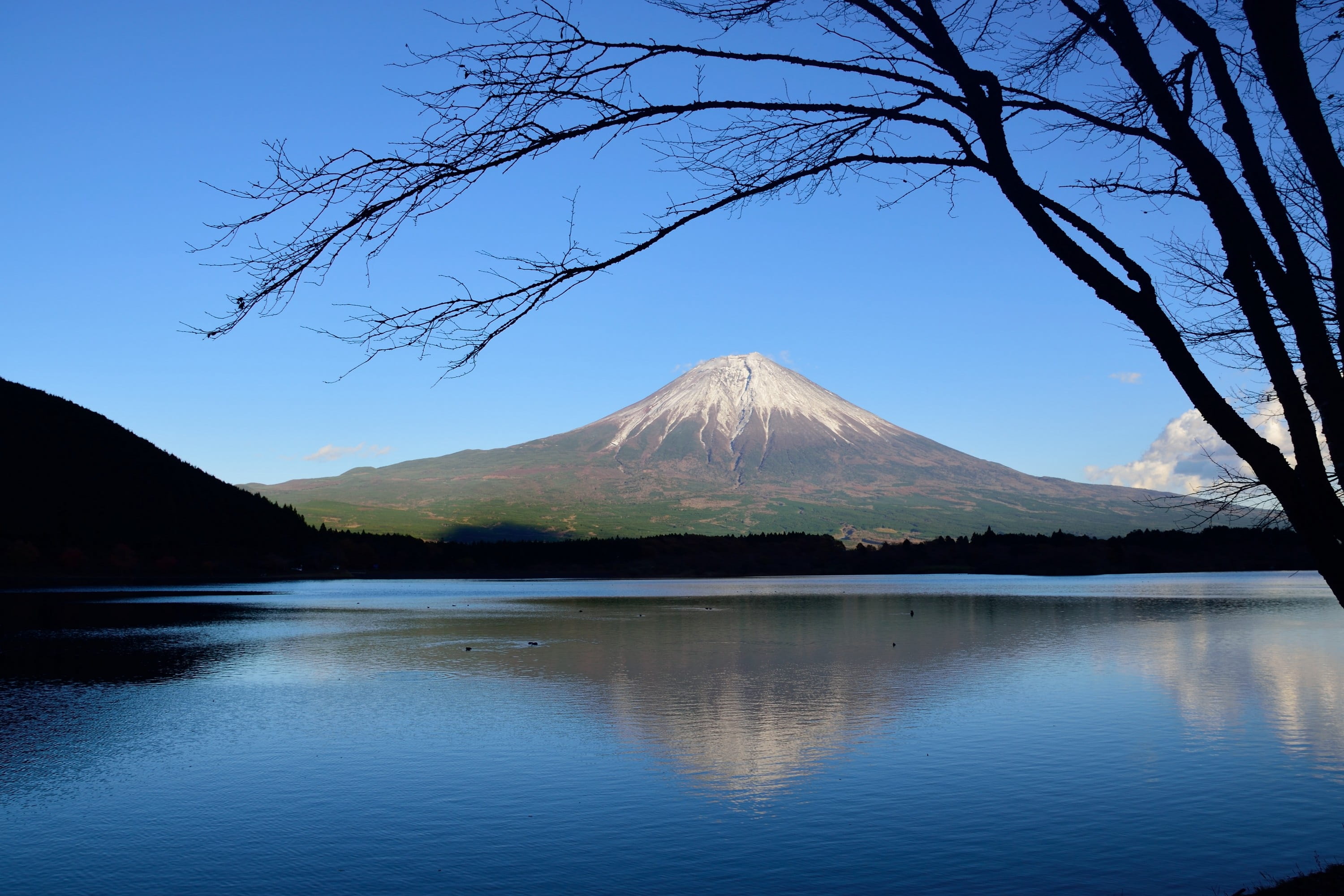 no people, non-urban scene, plant, snowcapped mountain, day, shadow, tree, japan, water, shizuoka, tranquility, lake, idyllic, hills, reflection, travel destinations, HD Wallpaper