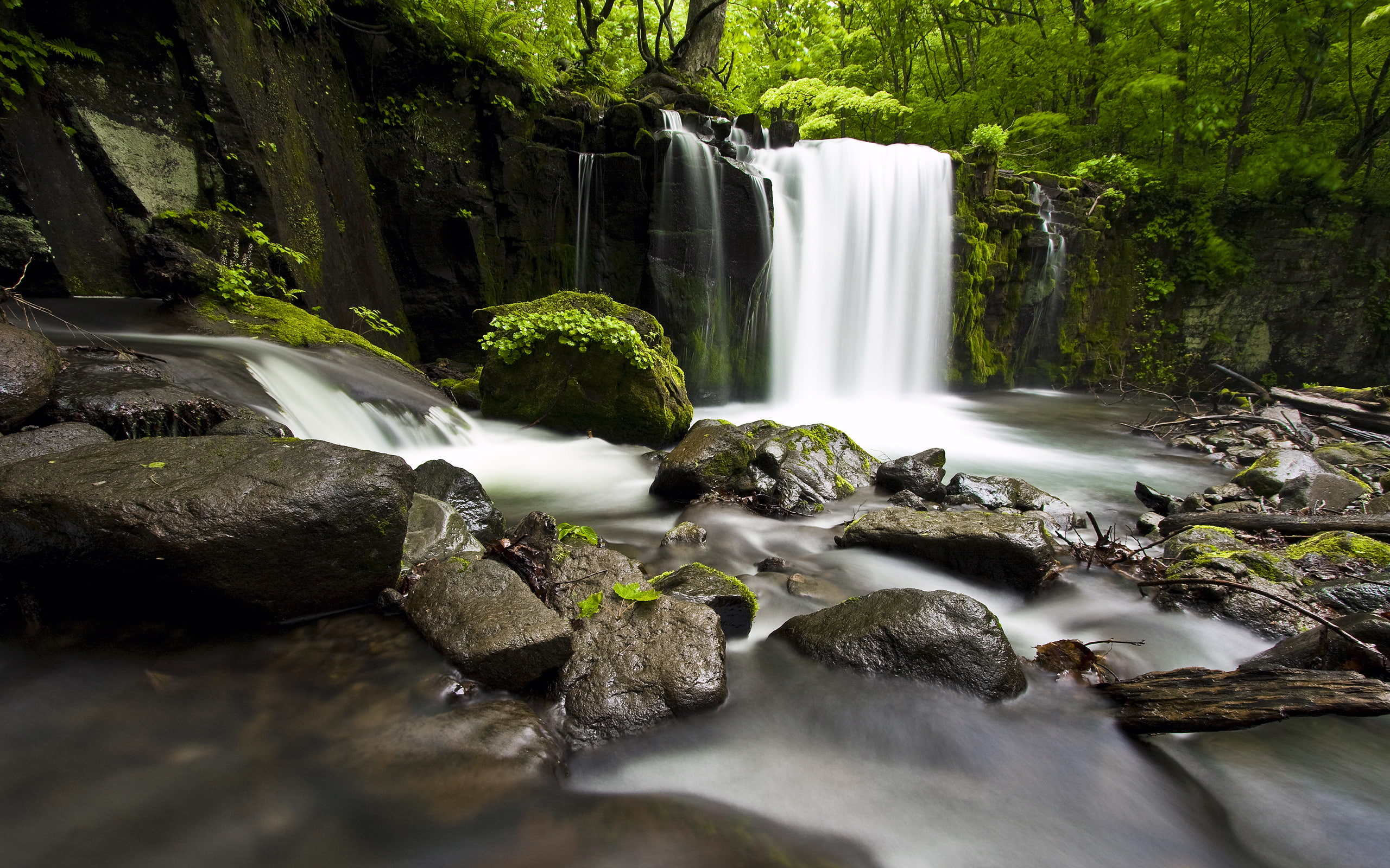 nature, oirase, photography, green, brown, landscape, japan, 2K, gorge, waterfall, water, HD Wallpaper