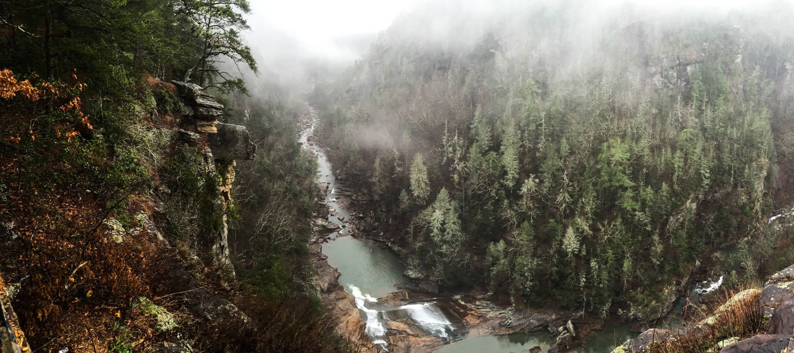 forest, trees, Georgia, stream, gorge, 2K, Tallulah Gorge, HD Wallpaper