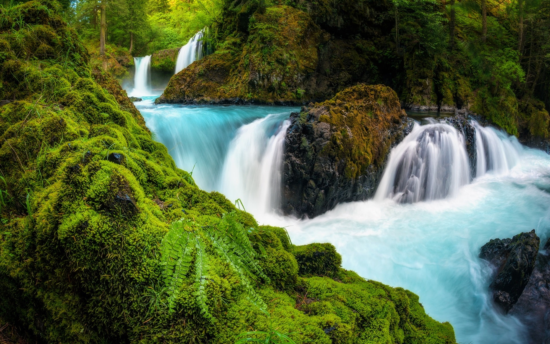 USA, Moss, Stones, Washington, Gorge, River, Columbia, Waterfalls, 1080P, HD Wallpaper