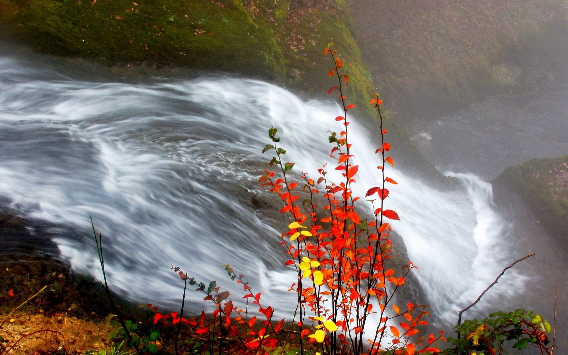 fall, 1080P, creeks, landscape, moss, red leaves, waterfall, HD Wallpaper