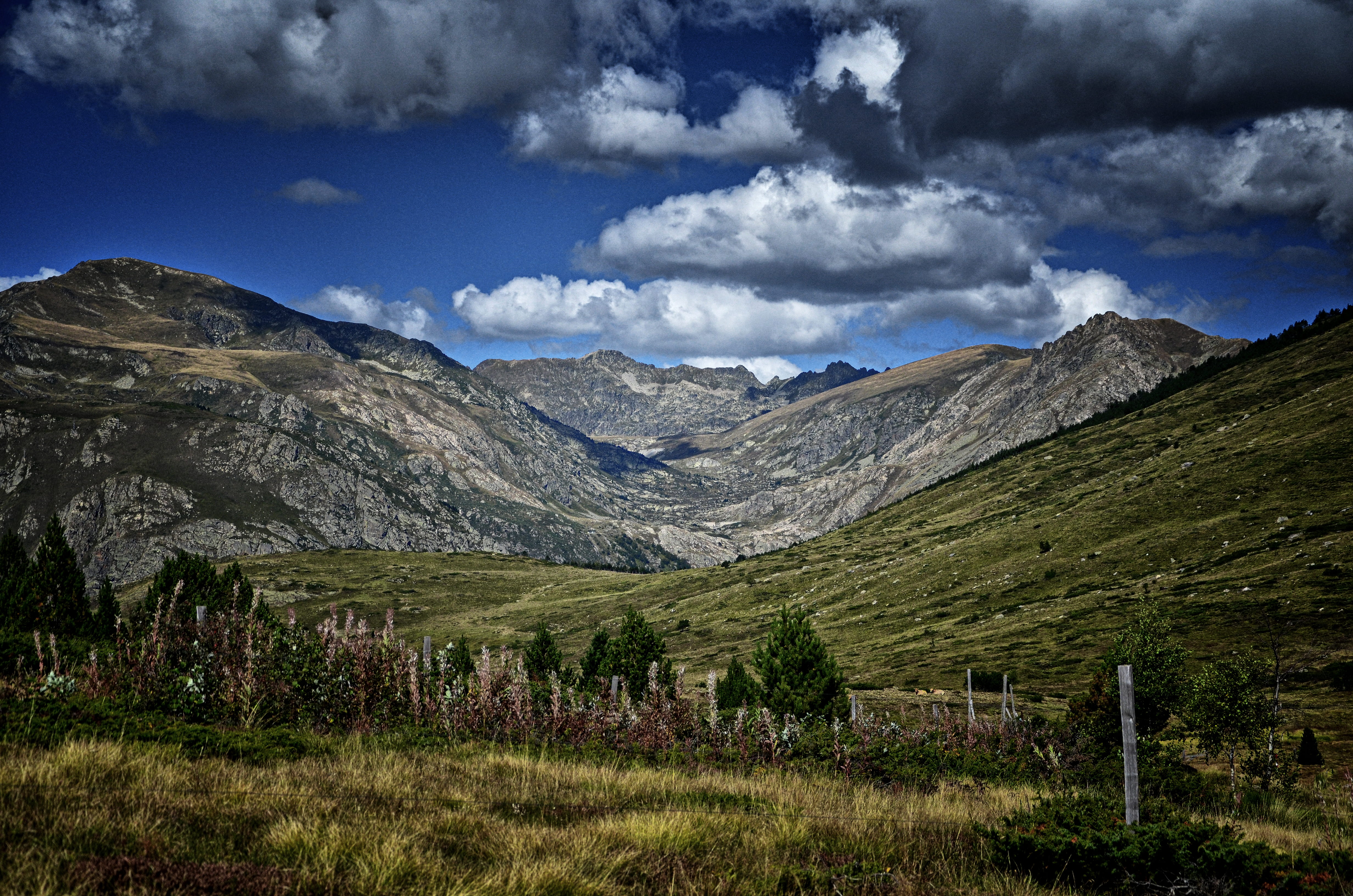 rolling landscape, cloud - sky, scenics - nature, plant, 4K, tranquility, tranquil scene, mountain ridge, land, nature, no people, mountain, sky, tree, HD Wallpaper