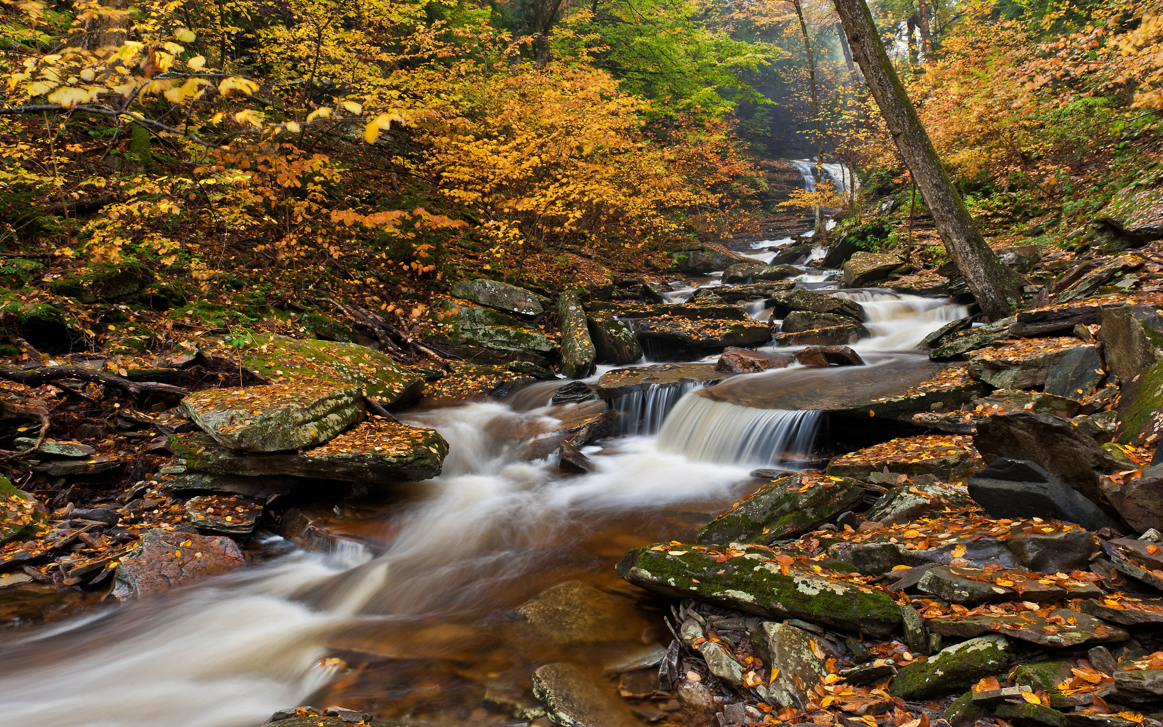 states, change, no people, long exposure, solid, flowing, water, ricketts, united, red, park, forest, leaves, hd, motion, waterfall, glen, rocks, HD Wallpaper