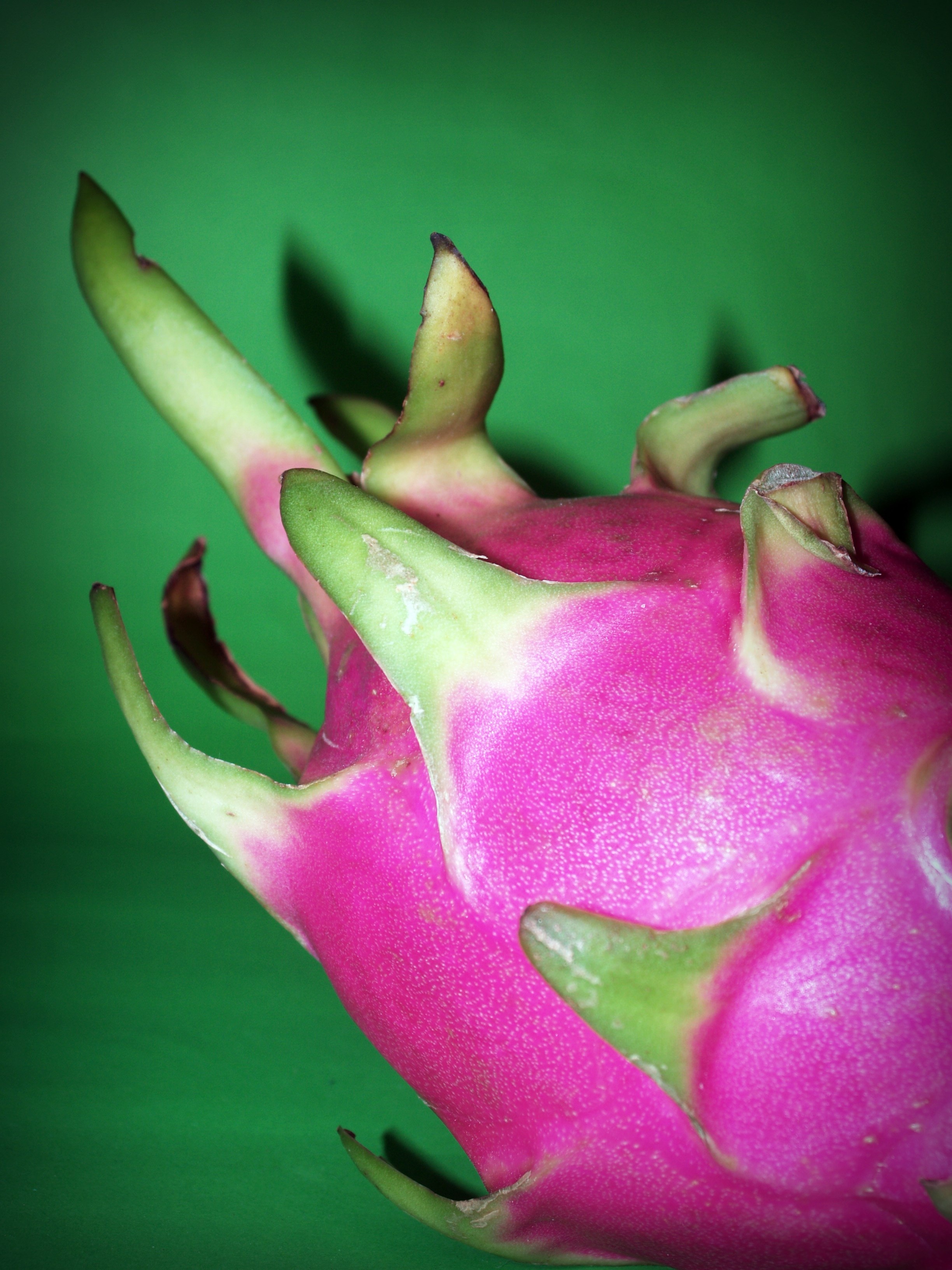 2K, green color, dragon fruit, bright, flower head, background, tasty, inflorescence, cacti, red, flower, fruit, diet, rare, cactus, healthy eating, thailand, Phone HD Wallpaper